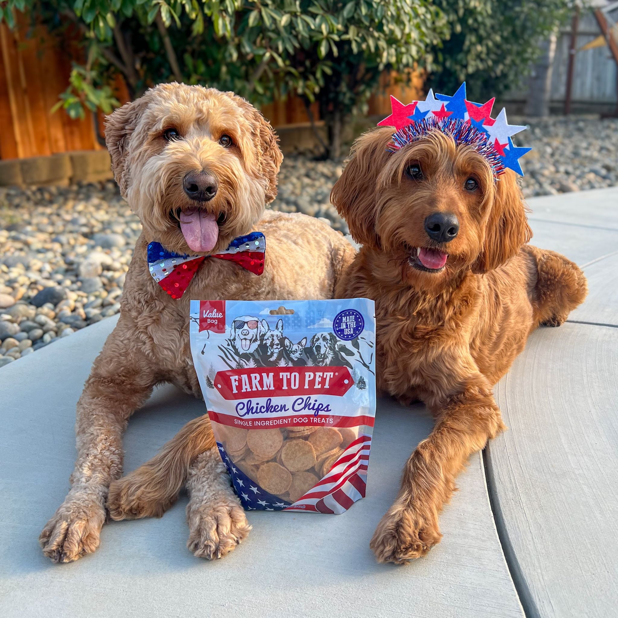 Two large brown dogs wearing red white and blue accessories laying on the sidewalk outside with a bag of Farm to Pet Americana Chicken Chips. 