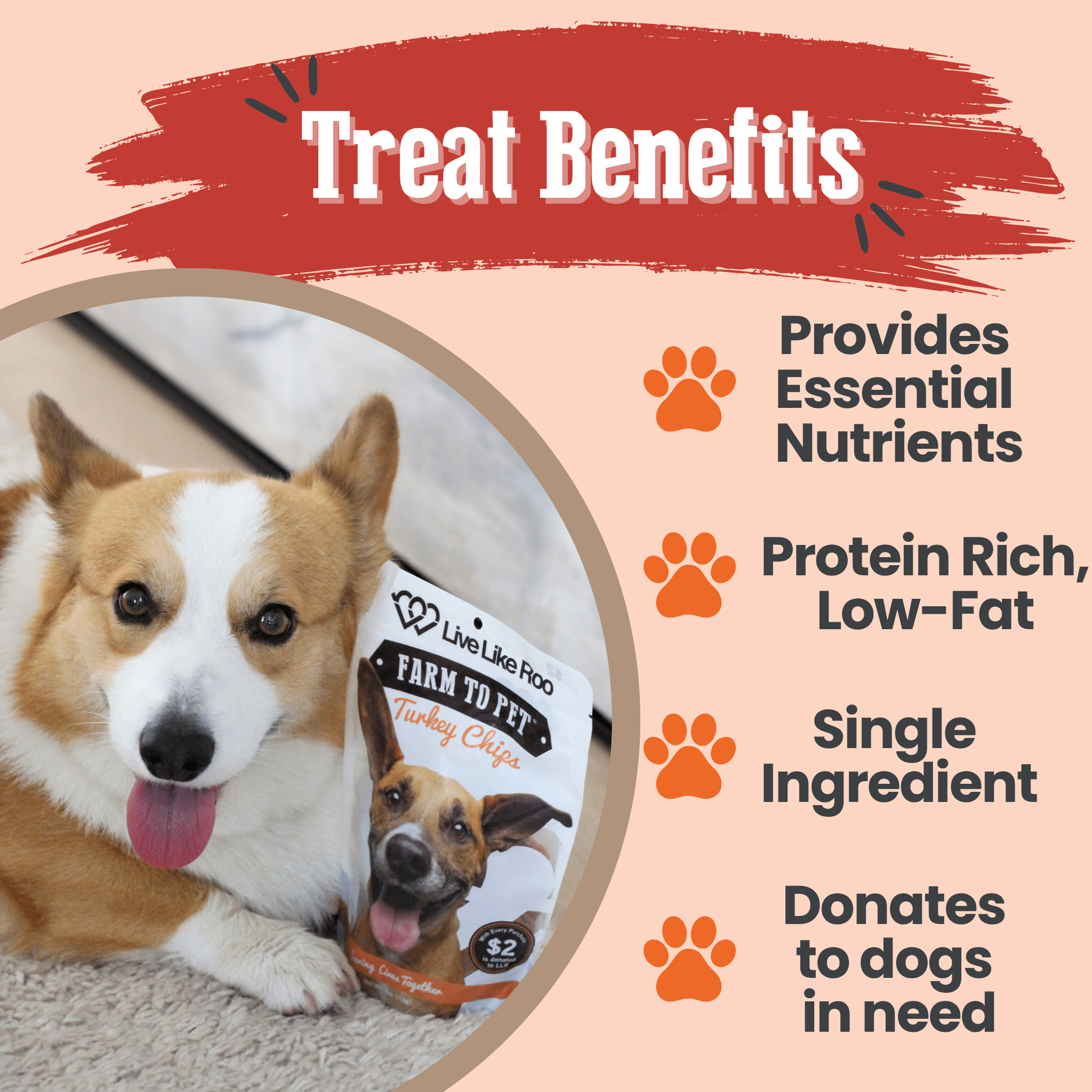 A Corgi laying by a Farm to Pet turkey treat package with a text about treat benefits on a peach background.
