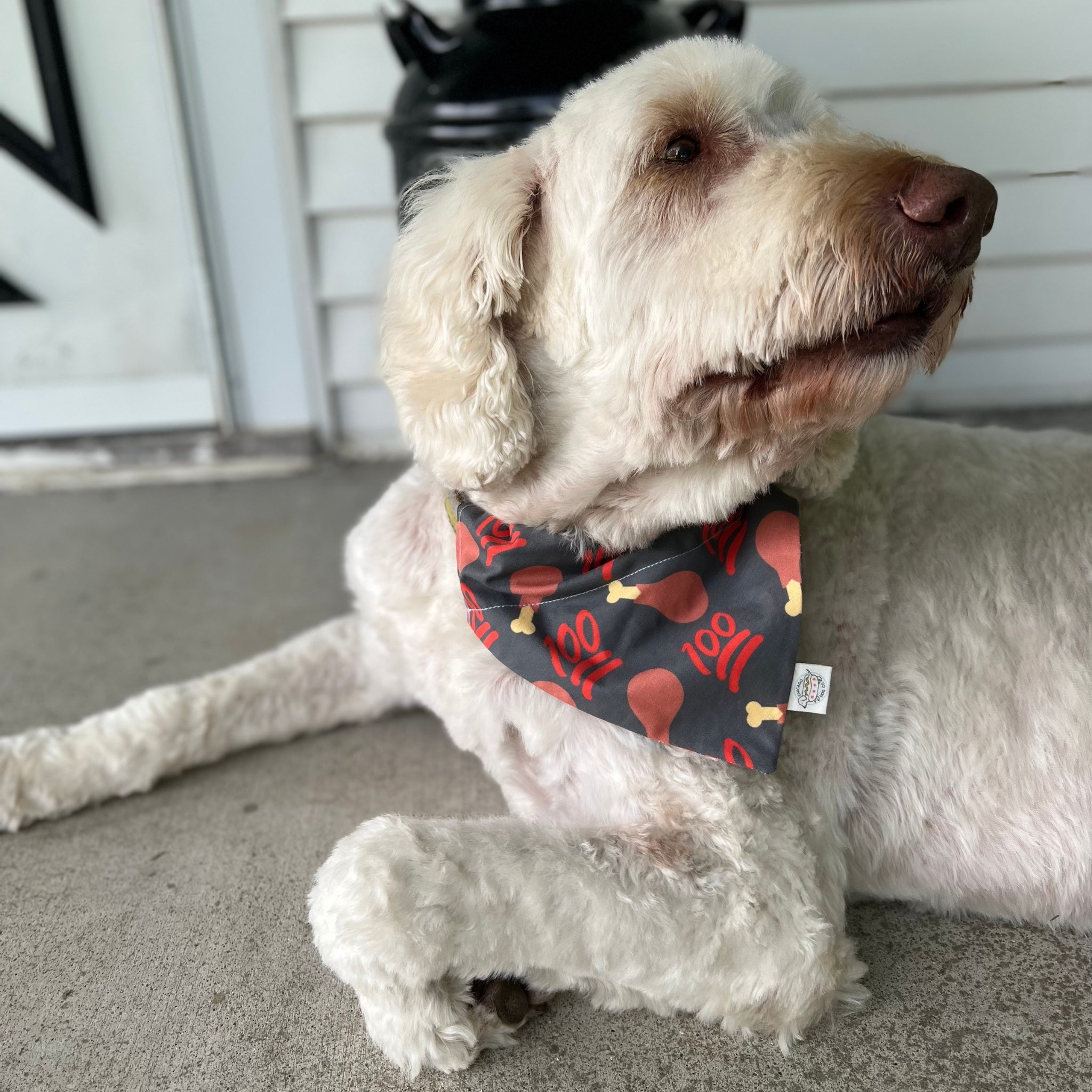 Farm to Pet Original Dog Bandana