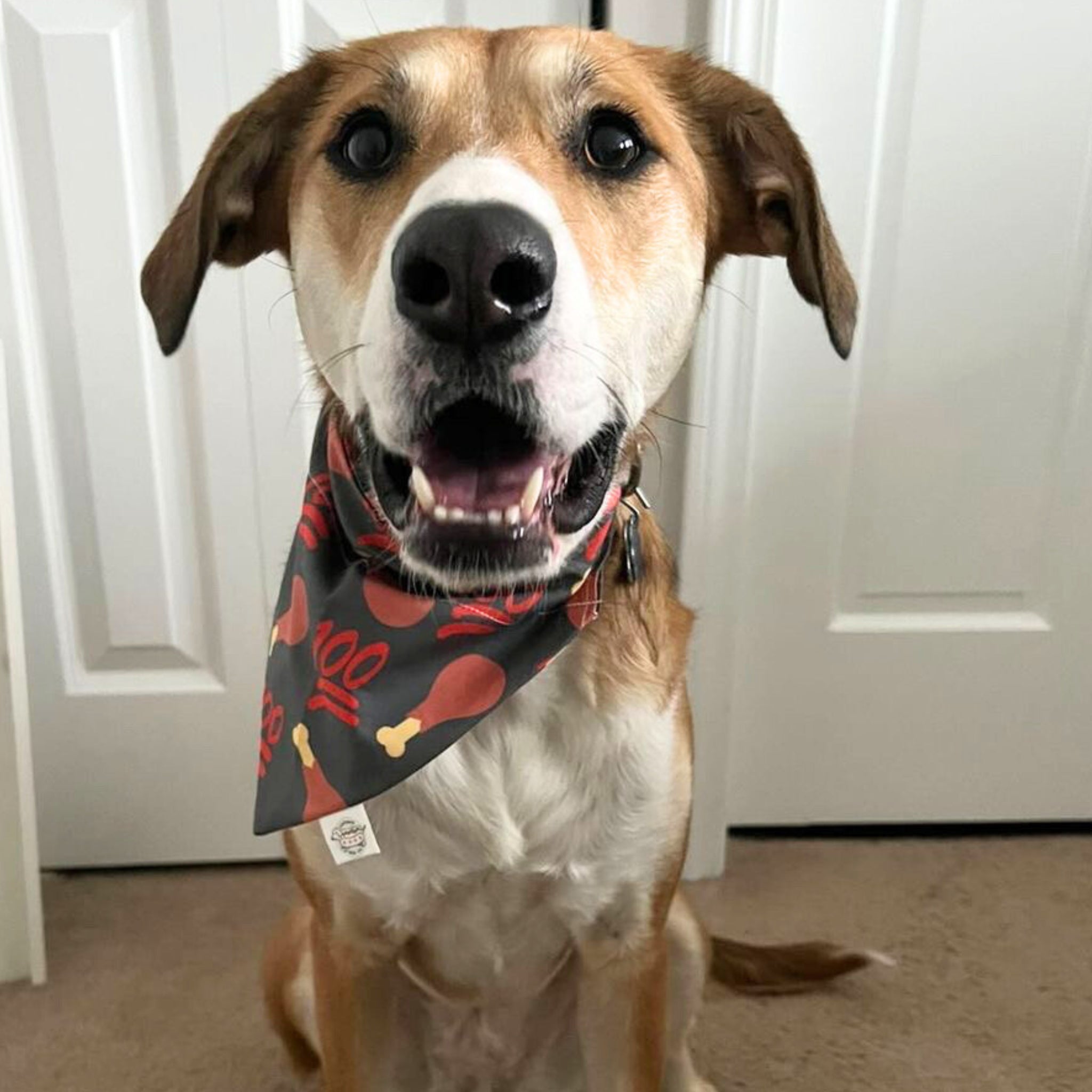 Farm to Pet Original Dog Bandana