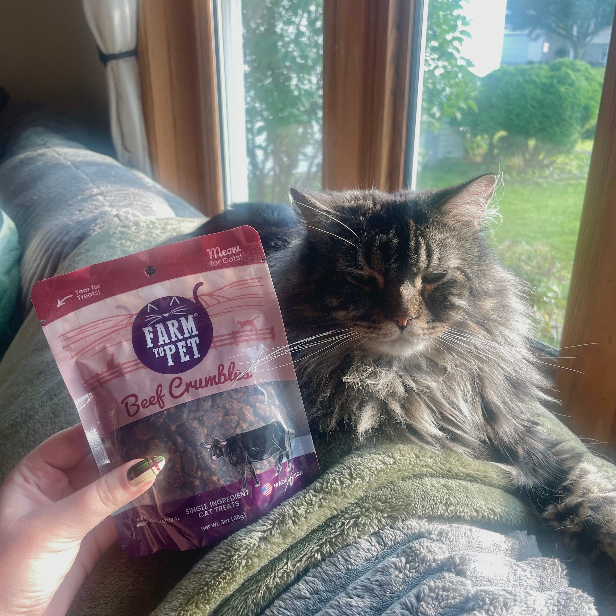 A person holding a 'Farm to Pet Beef Crumbles' package next to a cat on a couch by a window.