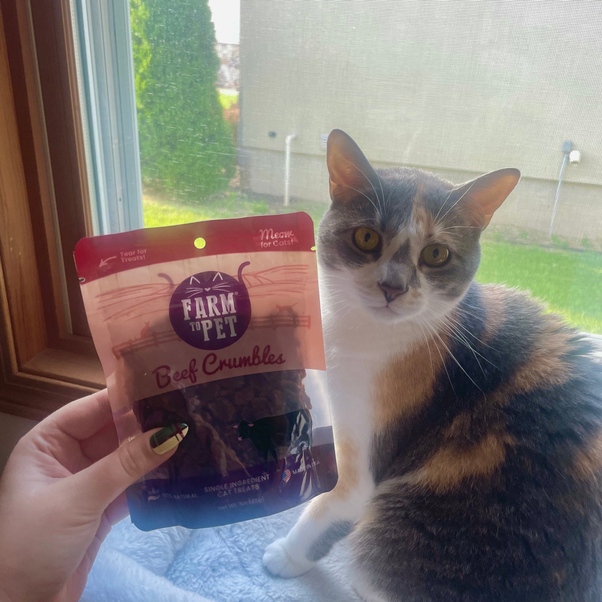 A cat sitting next to a package of Farm to Pet Beef Crumbles sitting in a window.