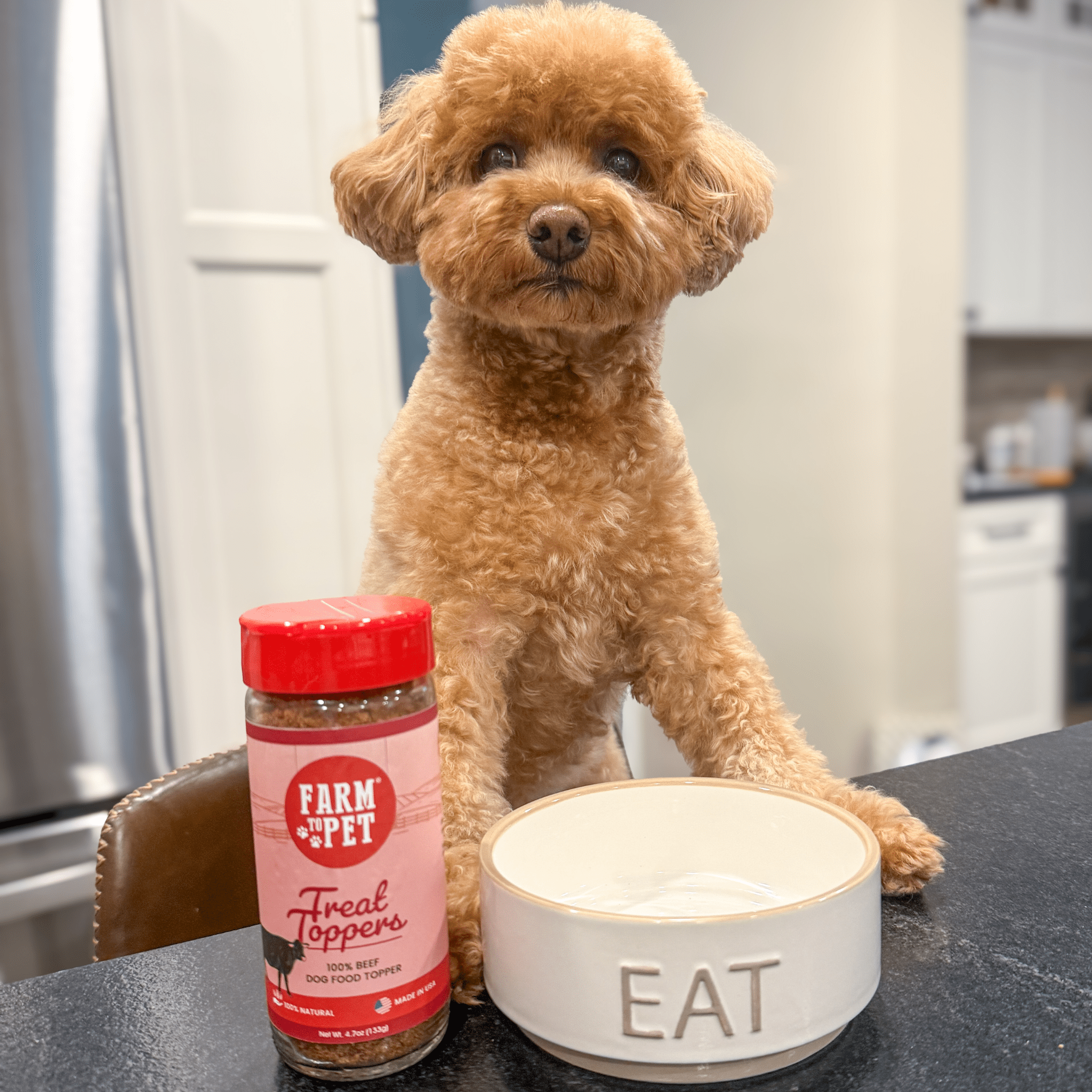 Small brown dog sitting next to a jar of 'Farm to Pet' treat toppers and a white bowl with 'EAT' on it in a kitchen.