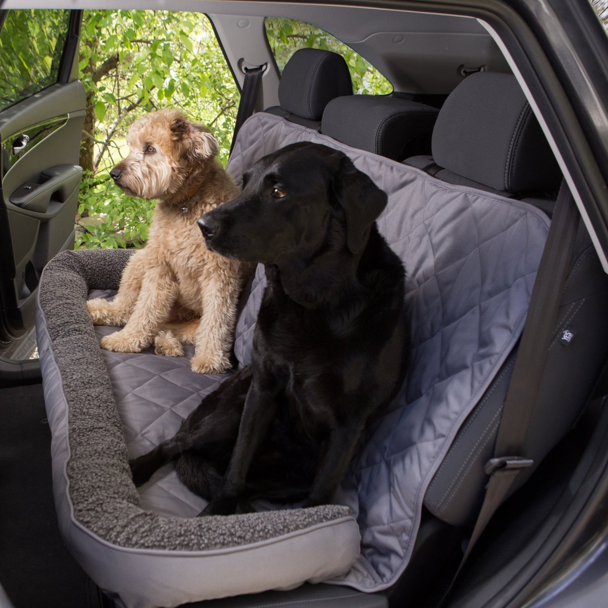 Two dogs sitting on a Farm to Pet Gray Back Seat Protector in a car.