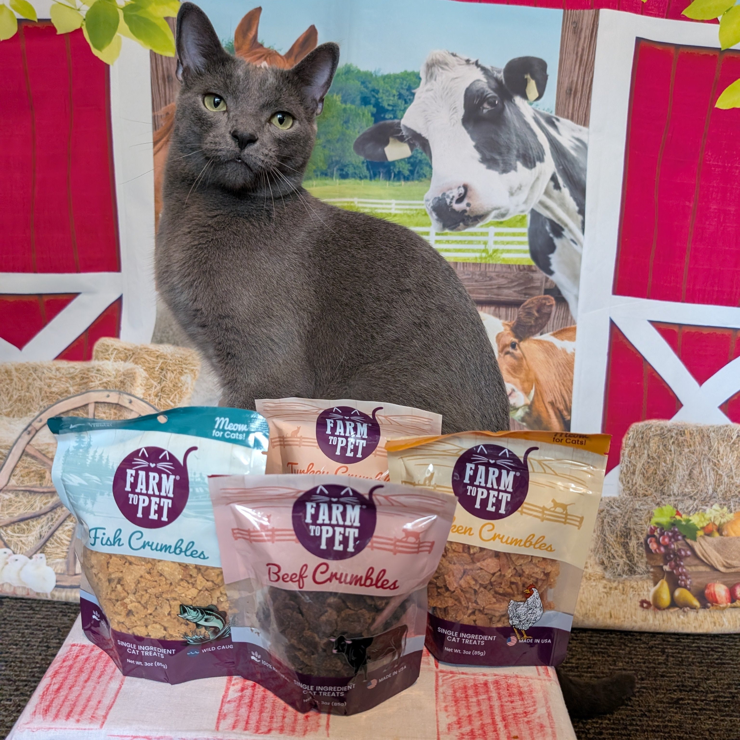 A gray cat sitting behind bags of Farm Pet cat treats with a barnyard-themed backdrop.
