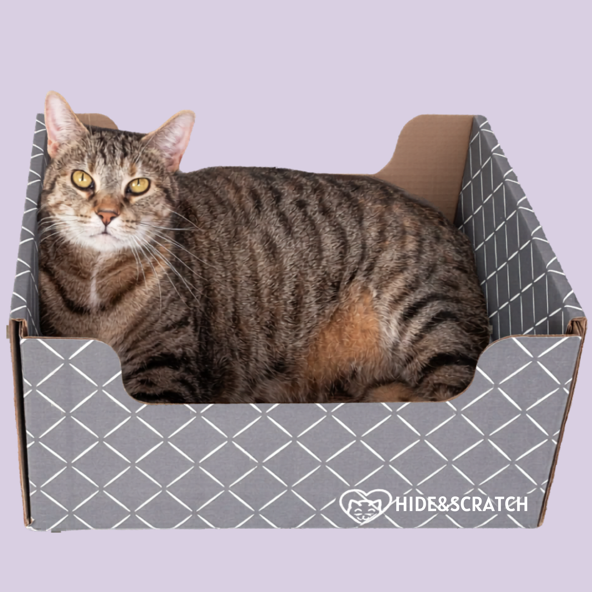 Cat sitting in a Hide & Scratch product with a LUXlife award badge on a light purple background.