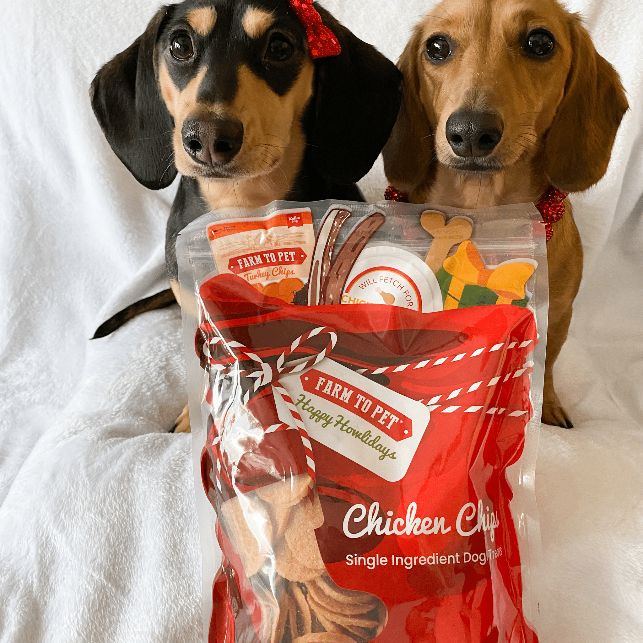 Two adorable dogs sitting on a white blanket behind a Farm to Pet Chicken Chipmas Bag.