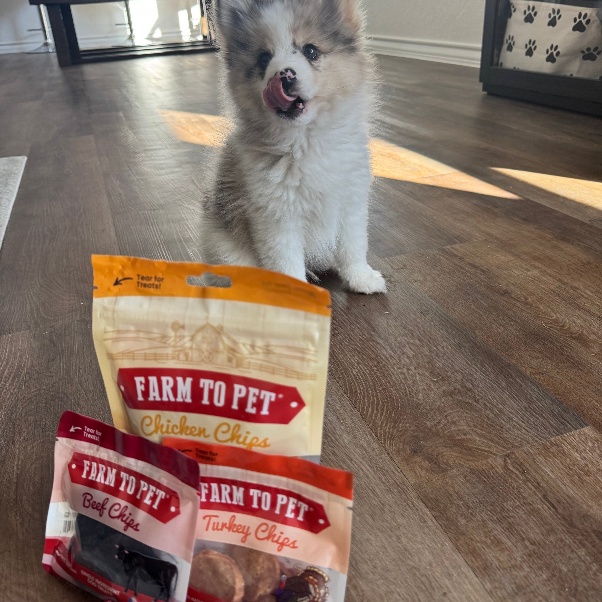 A puppy with it's tongue out sitting on a wooden floor with 'Farm to Pet' chips packages in front.
