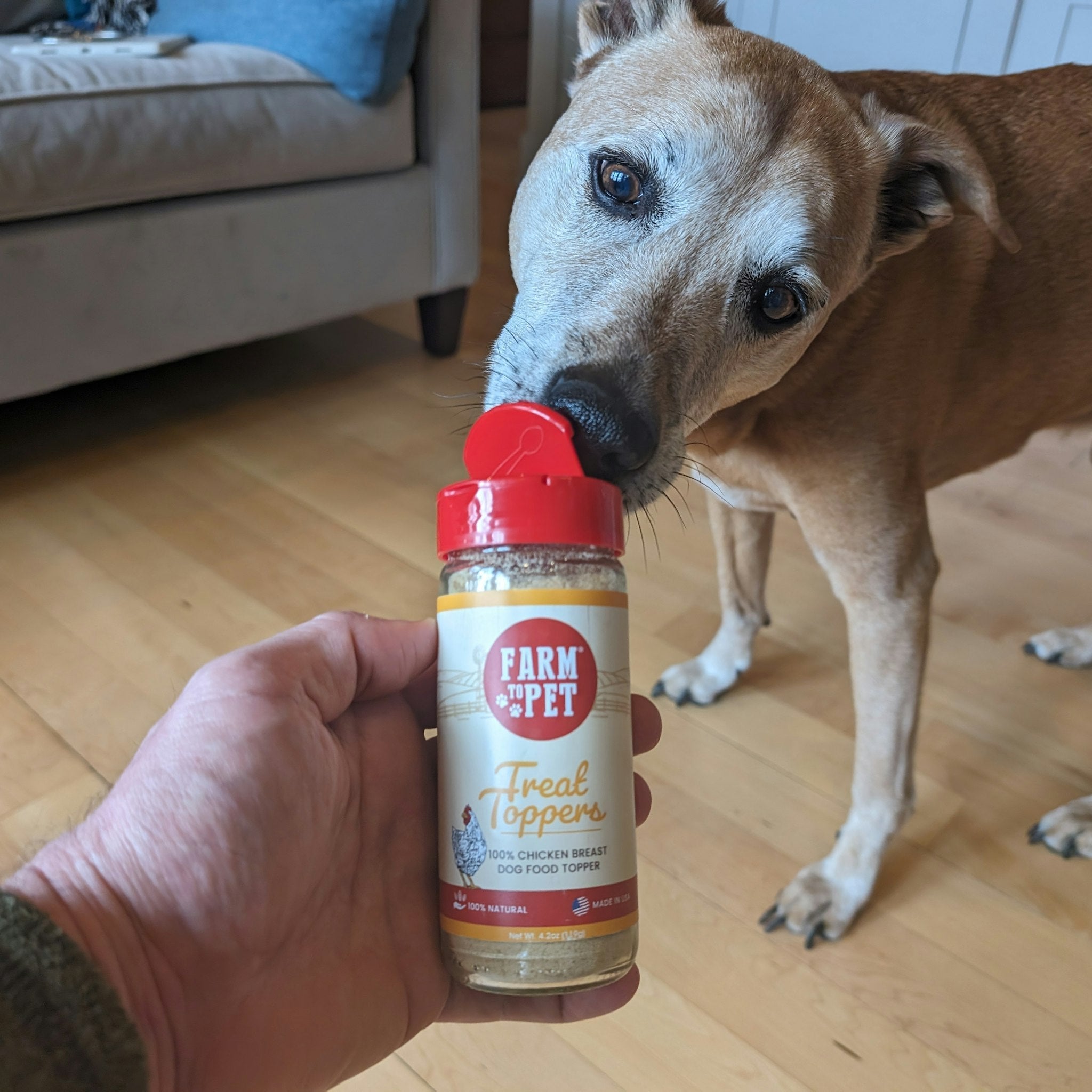 Farm to Pet Chicken Treat Dog Food Topper with a hand holding it and a brown rescue dog that sniff the topper.