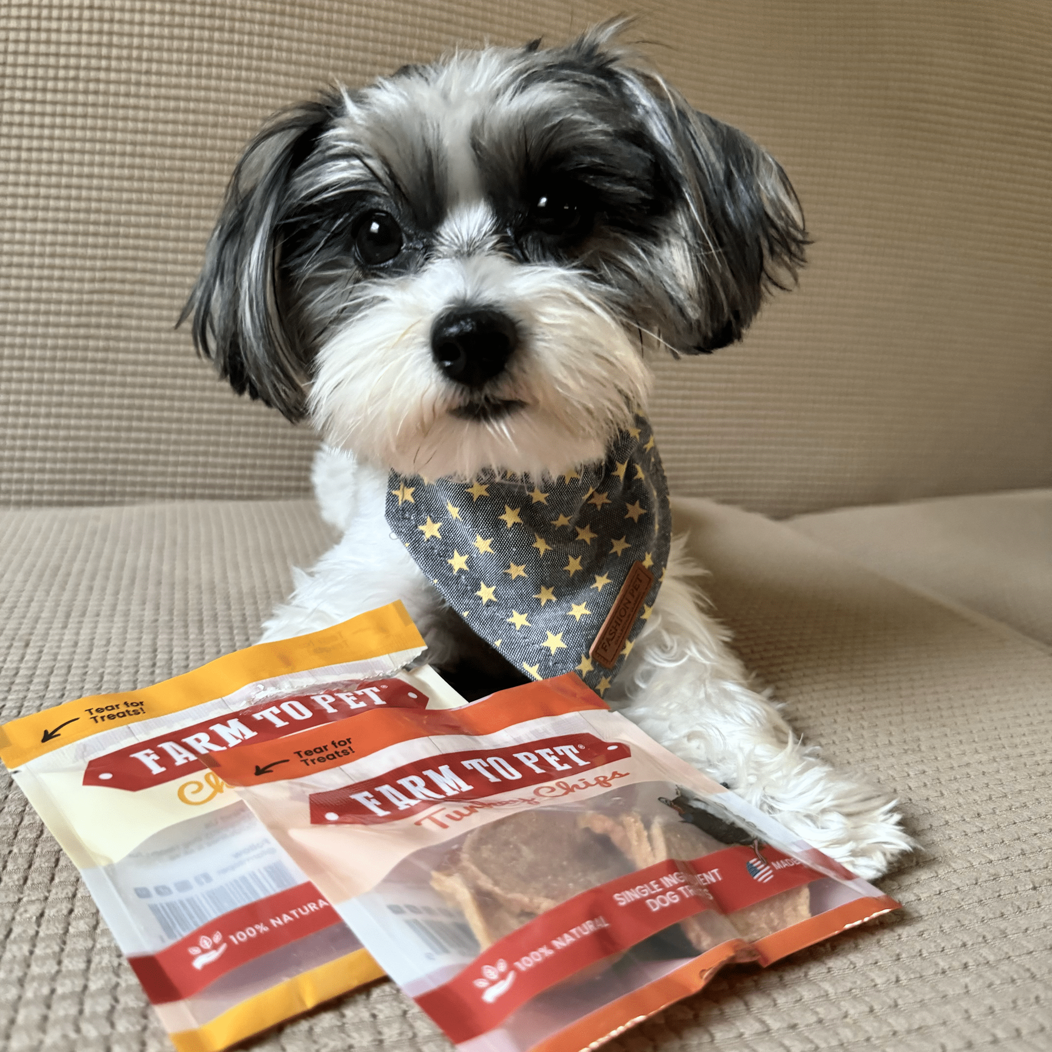 Healthy Weight Kirkland Dog Food Review Reddit Reddit Best Puppy