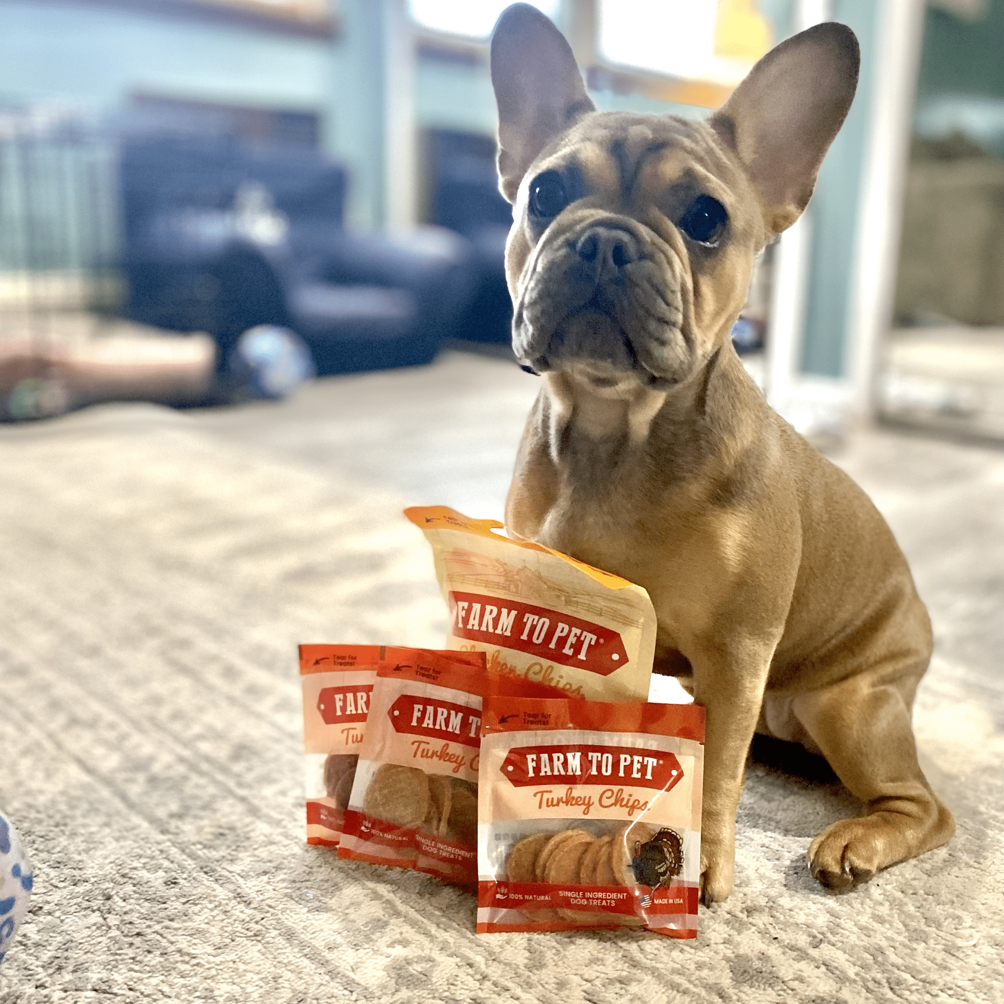 Treats for young puppies store