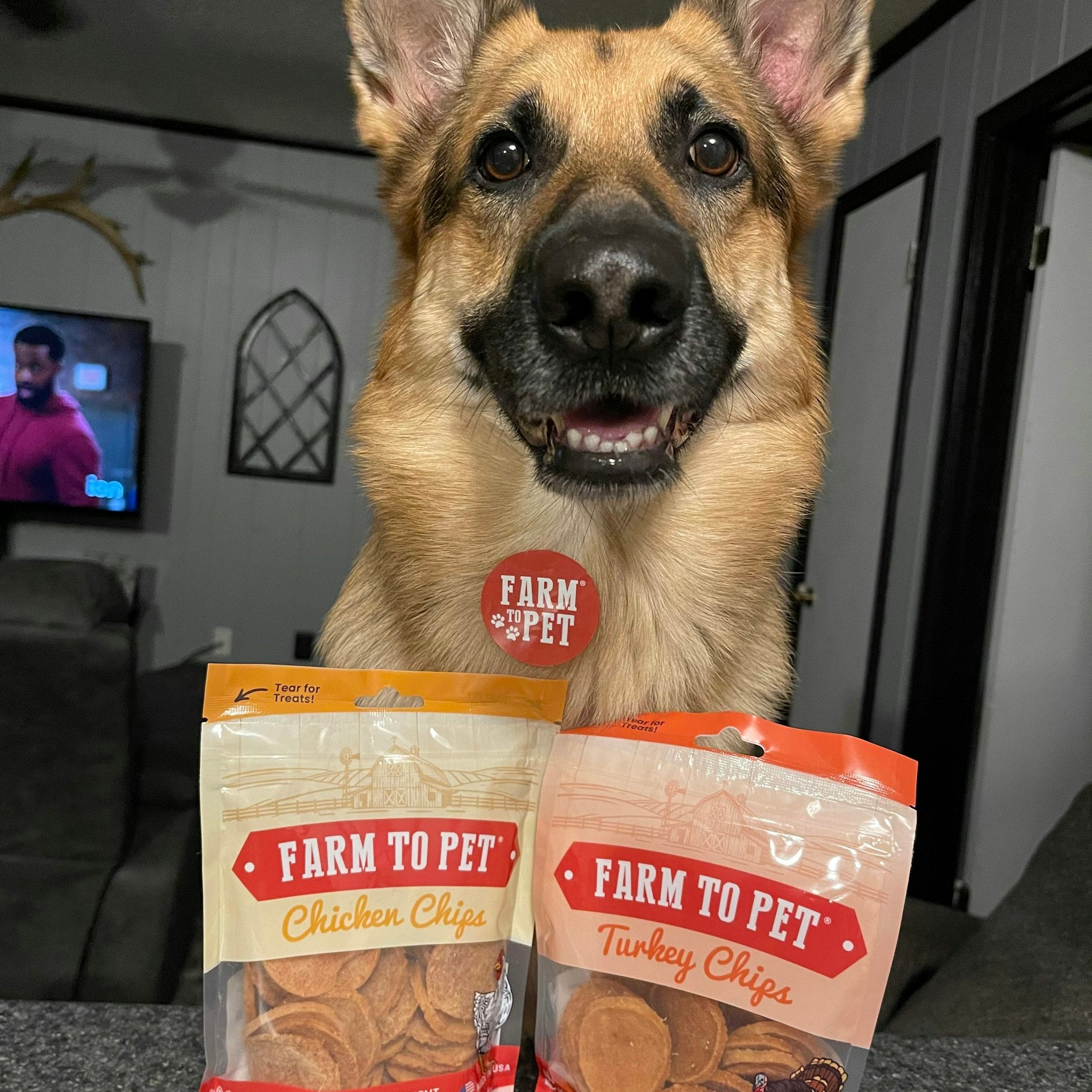 Farm to Pet Chicken and Turkey Chips by a large German Shepherd inside a house.