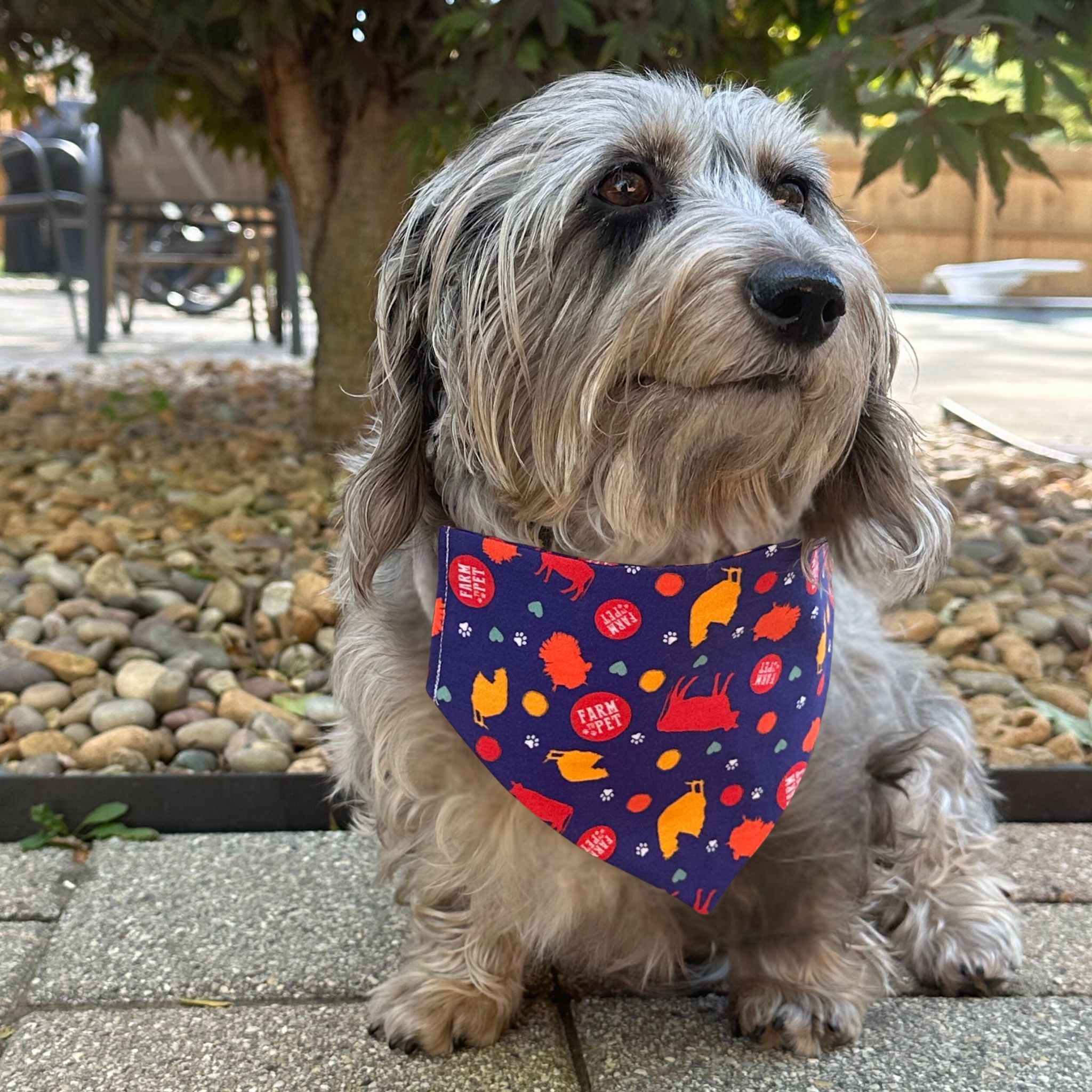 tie bandana for dog