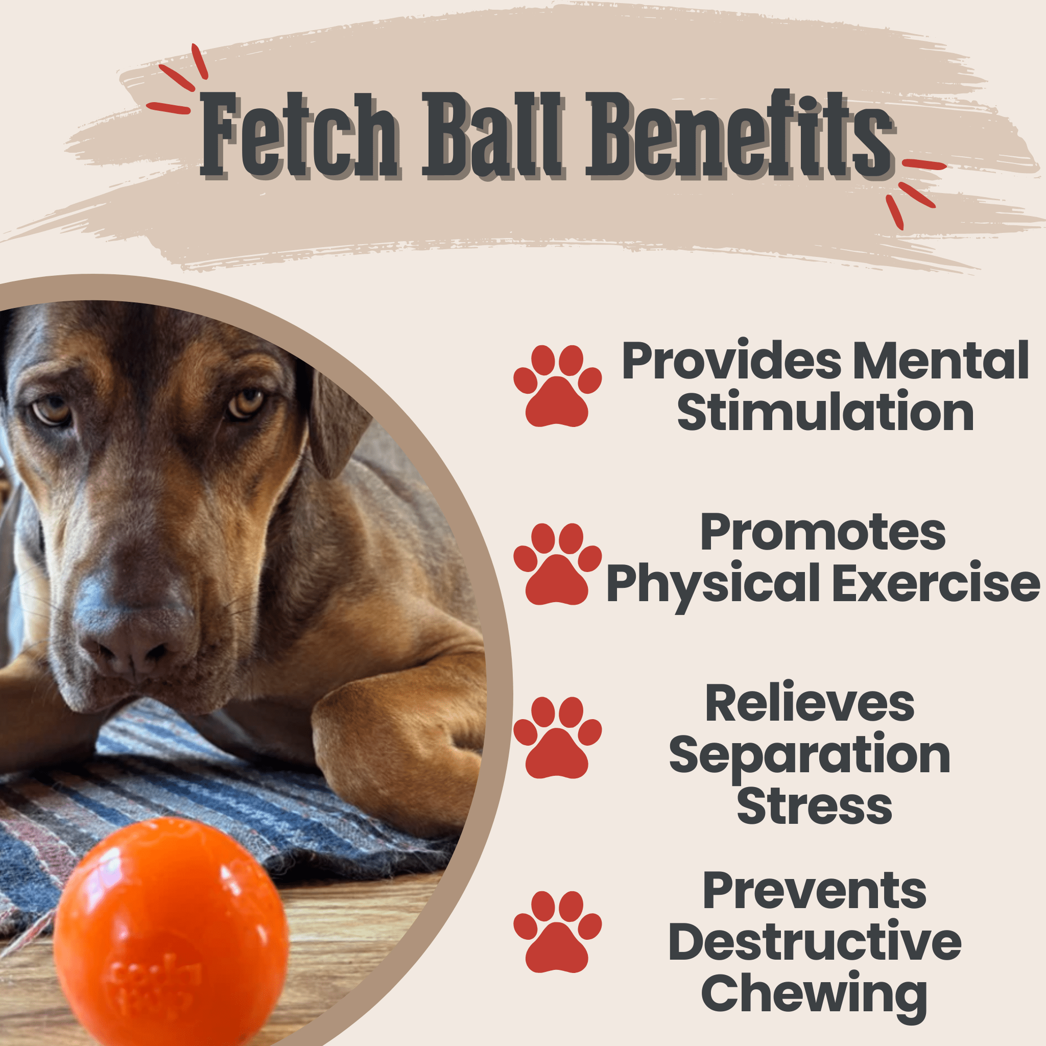 Dog lying on a rug with an orange ball Farm to Pet Dog Fetch Ball Crazy Bounce Ball surrounded by text about fetch ball benefits.
