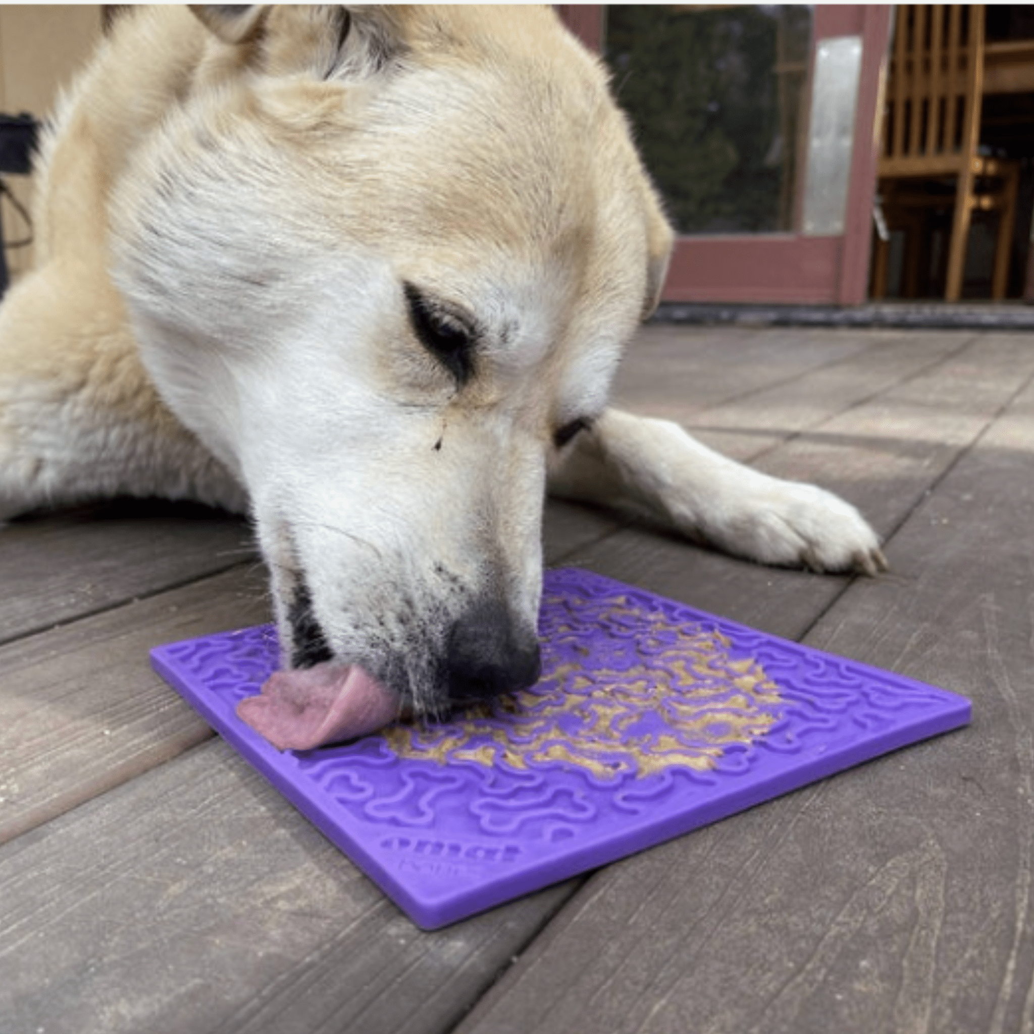 A white Dog licking a Farm to Pet  purple dog bone lick mat on a wooden deck.