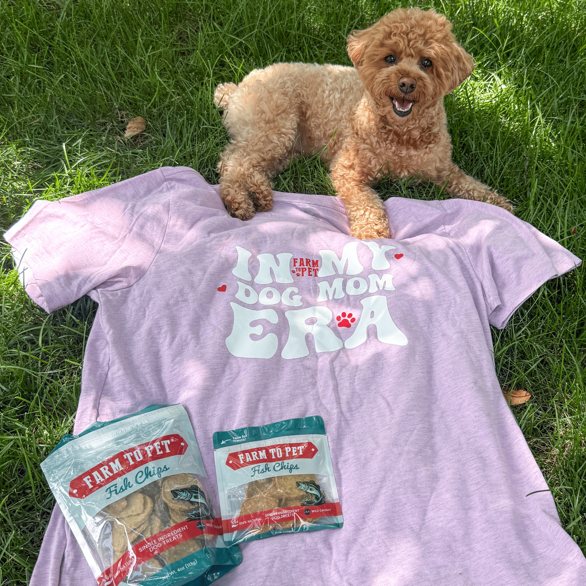 A small brown dog lying on a Farm to Pet purple t-shirt with In My Dog Mom Era text, surrounded by two packages of 'Farm to Pet' fish chips on grass.
