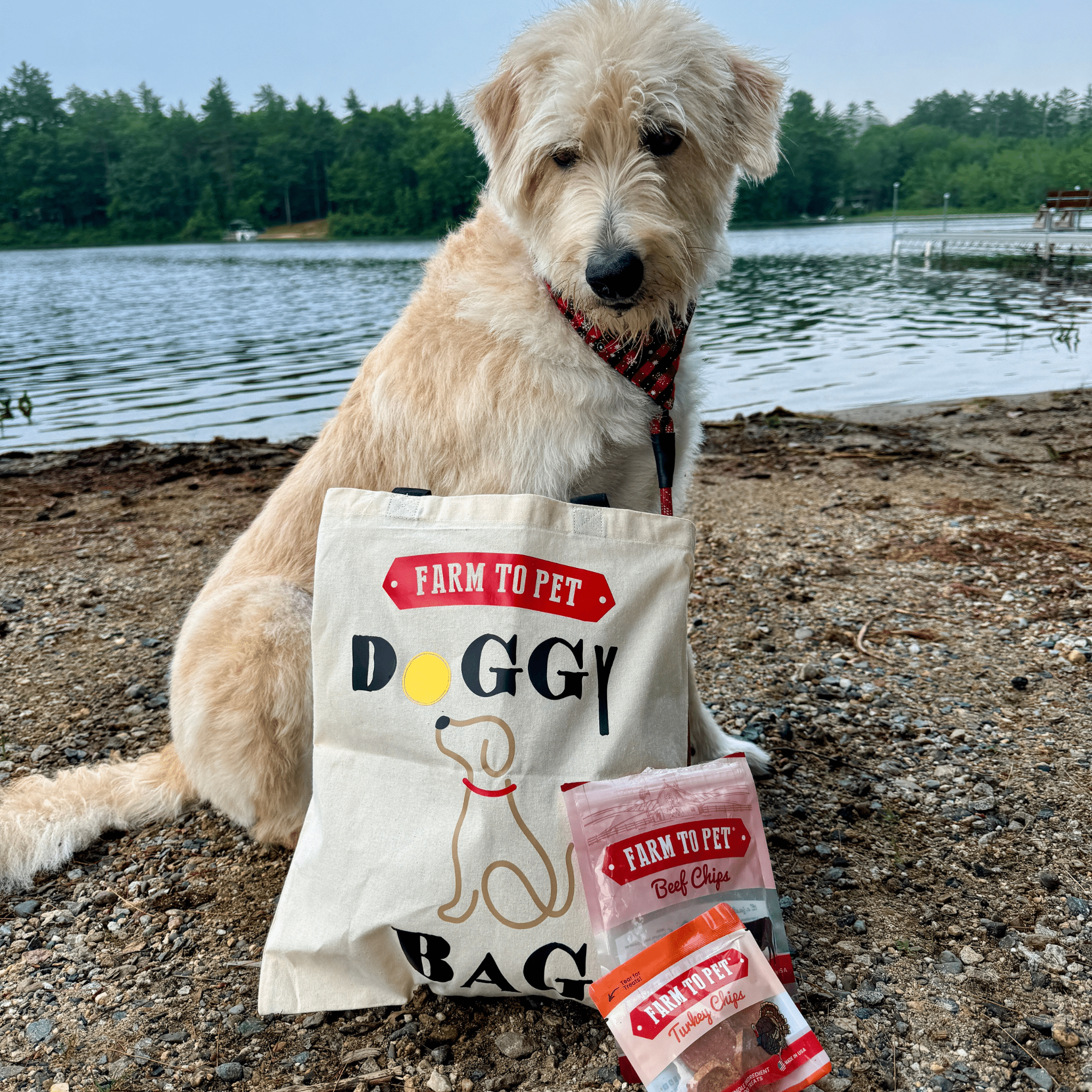 A large white dog sitting by a Farm to Pet Doggy Tote Bag with dog treats by a lake.