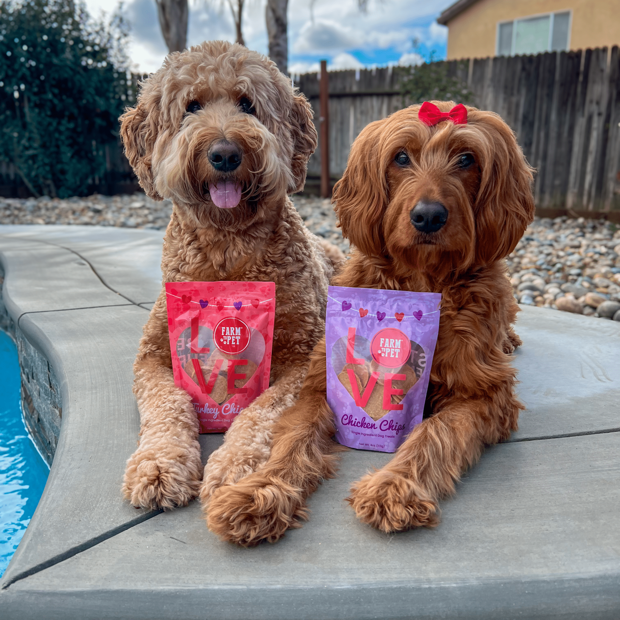 two dogs outside with Farm to Pet dog treats for valentine's day