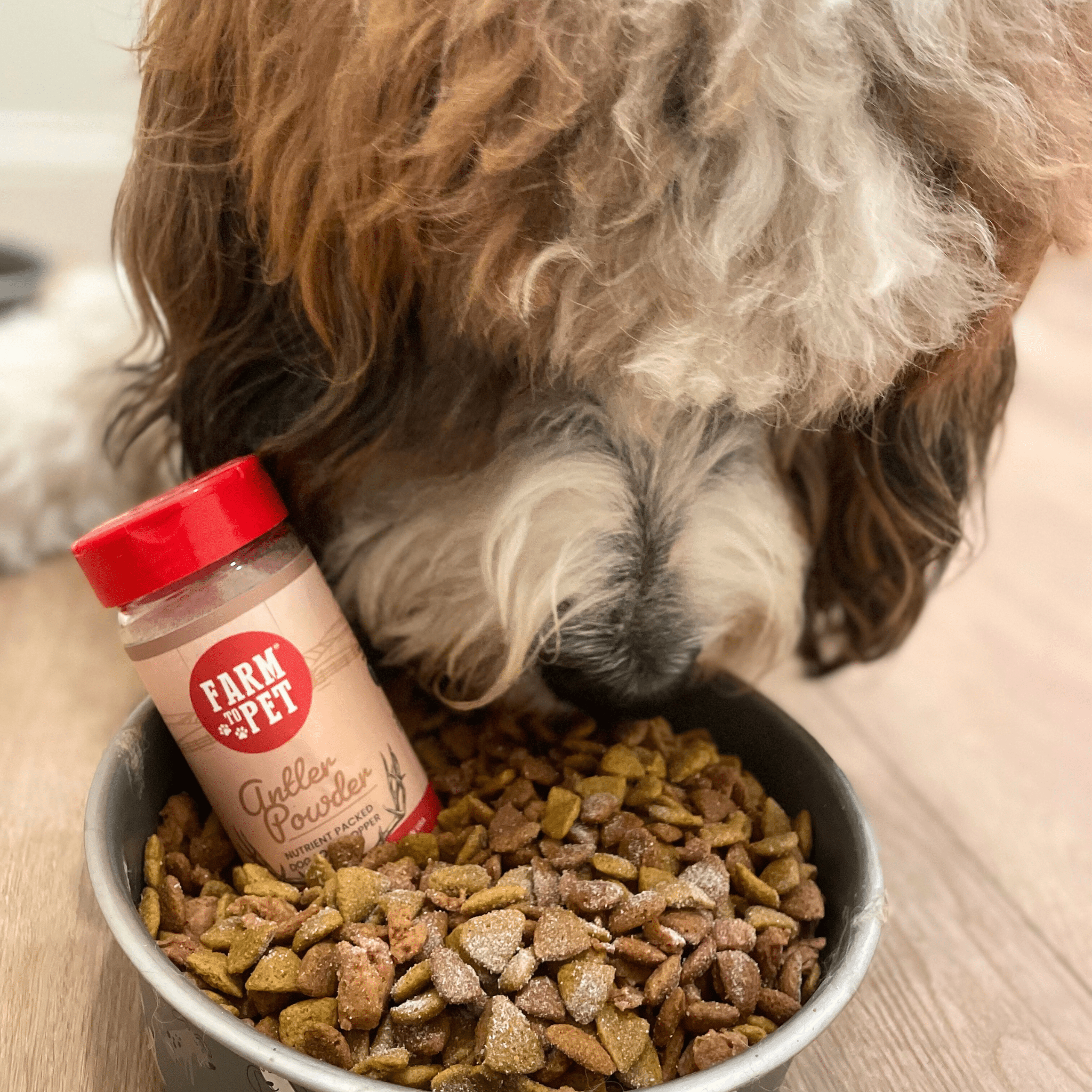 Dog sniffing a bowl of kibble with a jar labeled Farm to Pet on a wooden surface.