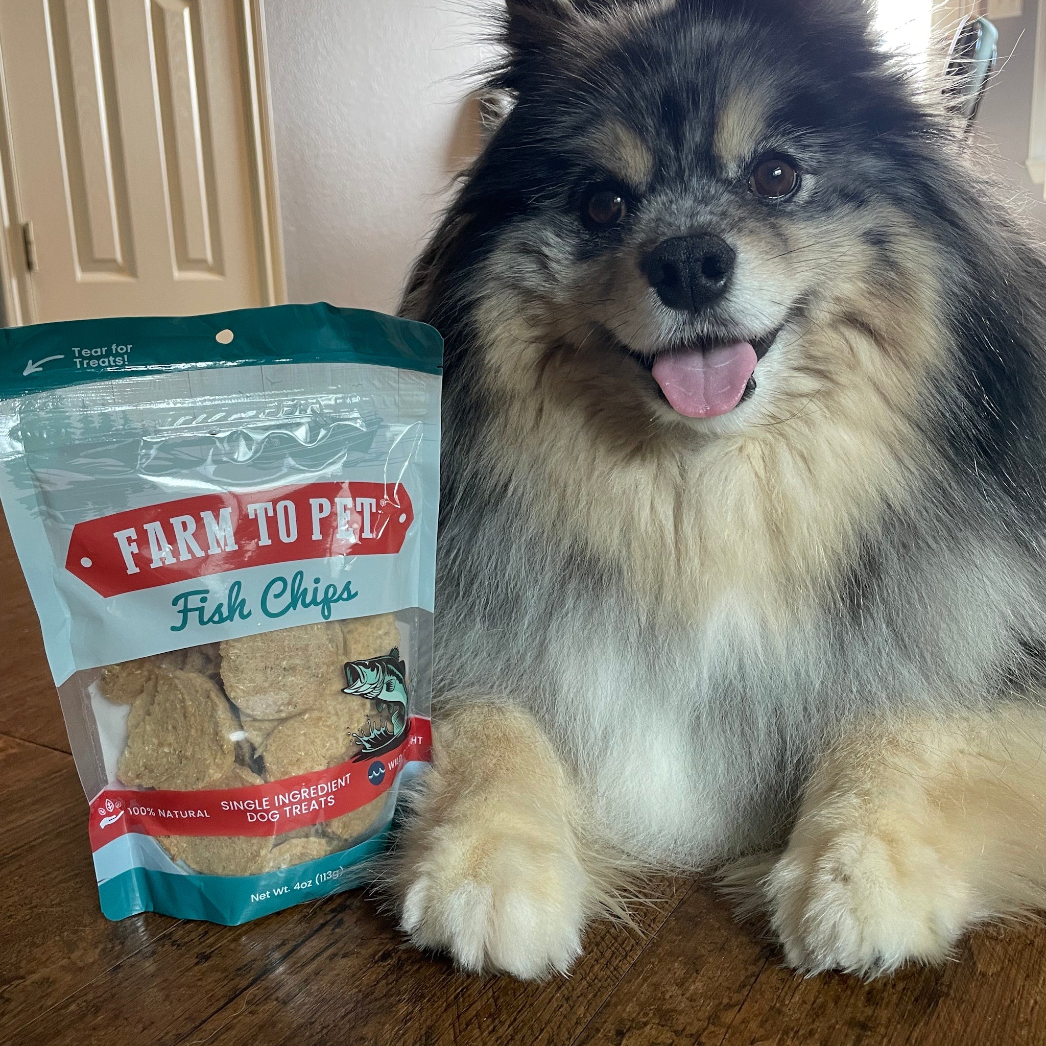 A dog laying beside a package of Farm to Pet Fish Chips on a wooden floor.