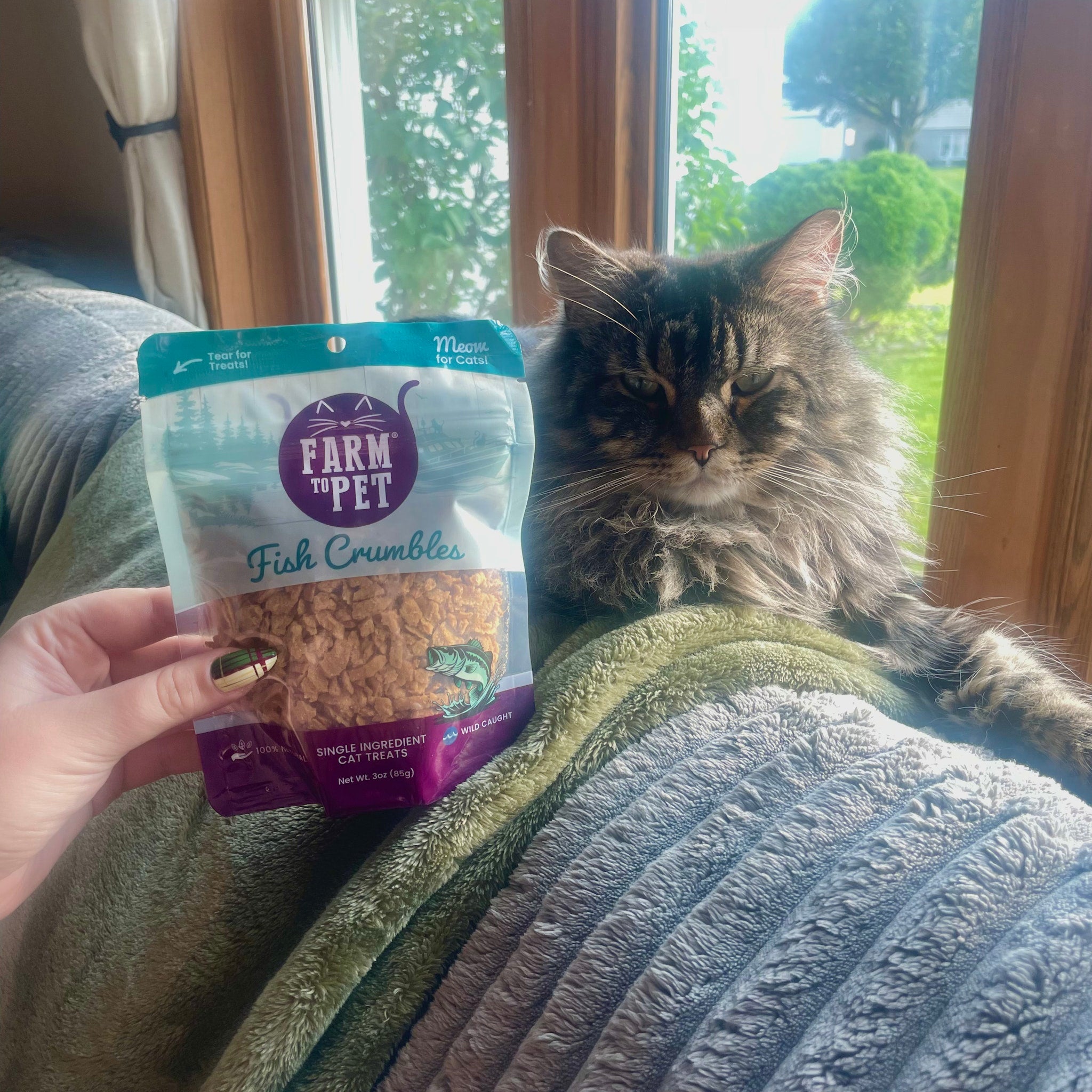 A person holding a package of 'Farm to Pet Fish Crumbles' next to a cat on a couch.
