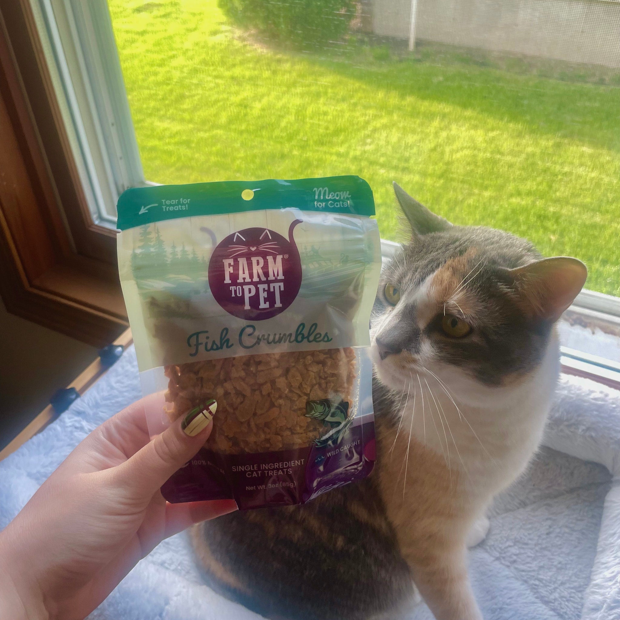 A cat looking at a 'Farm to Pet Fish Crumbles' package held by a person sitting at a window.
