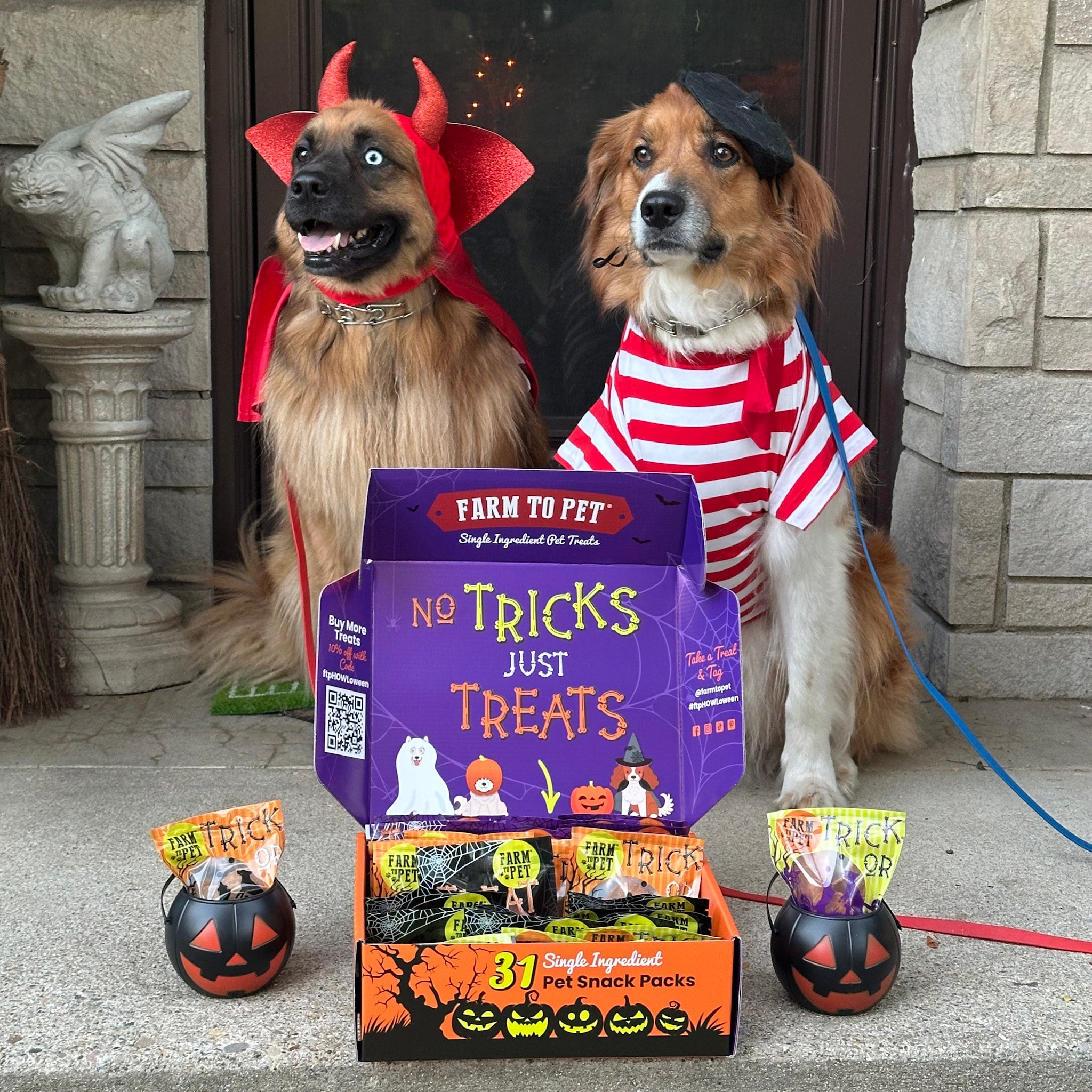 Two dogs in Halloween costumes sitting with a box of Farm to Pet Halloween treat box on a front porch.