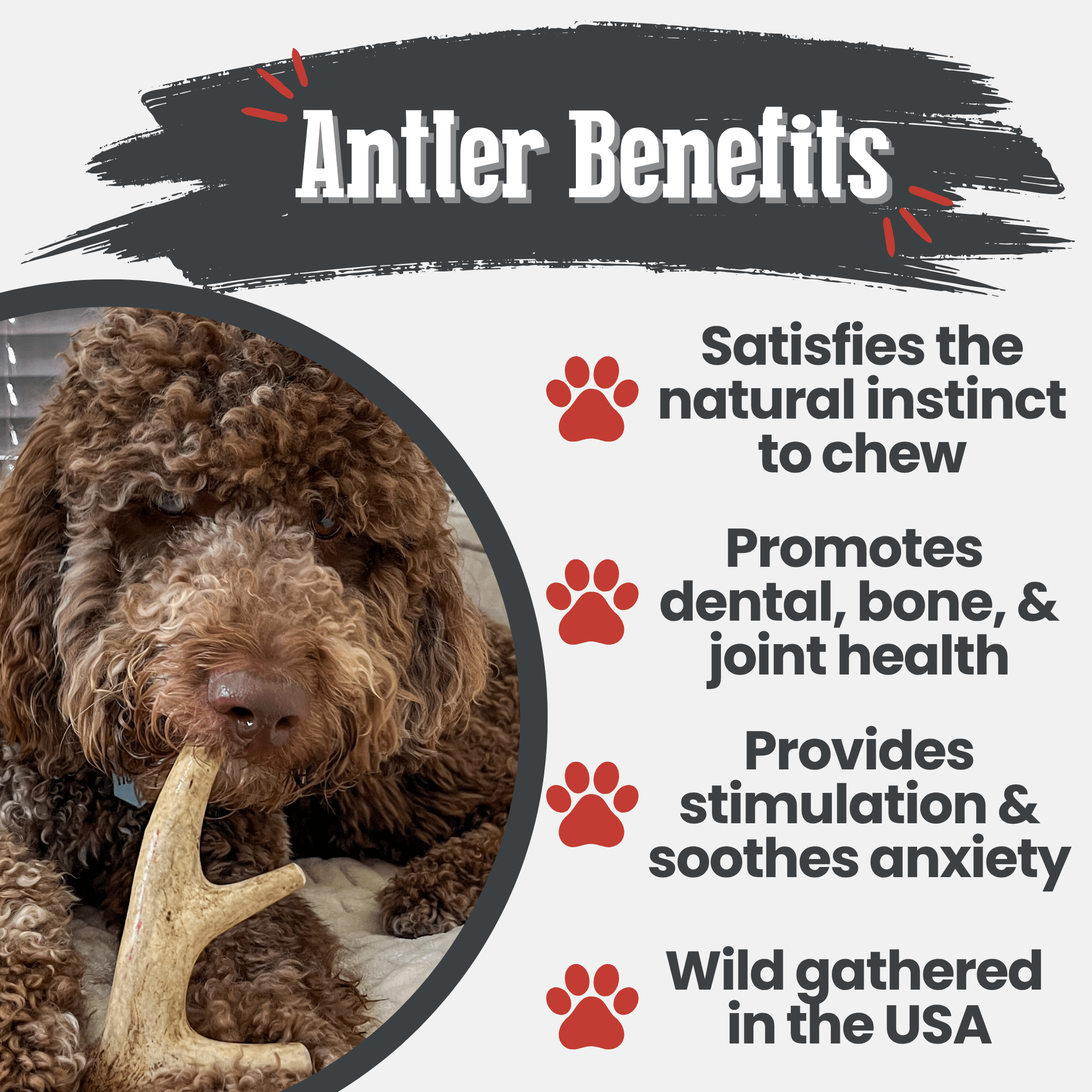 Dog chewing on a Farm to Pet antler with text highlighting benefits on a white background.