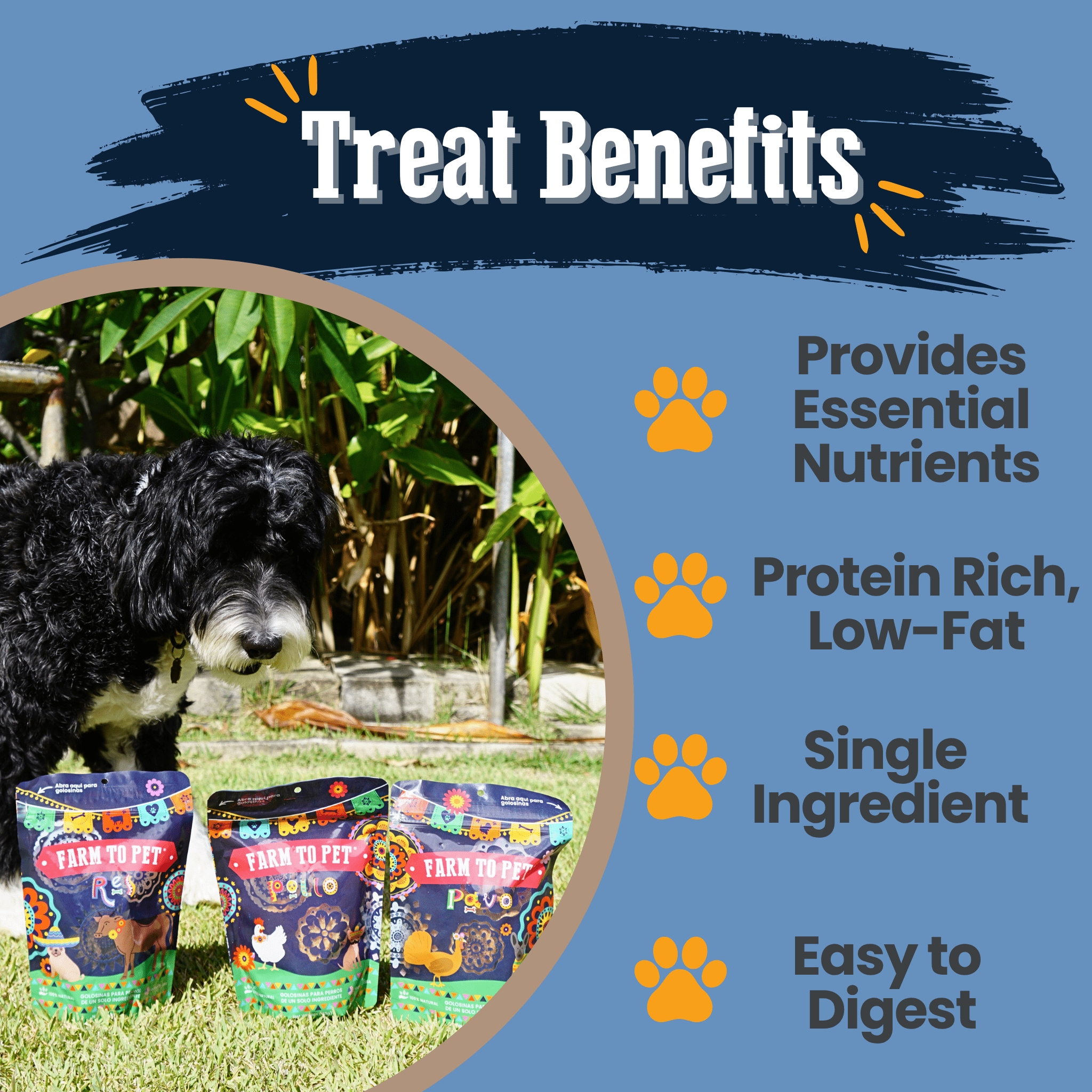 A black and white dog sitting next to Farm to Pet Fiesta Pack Dog treats  with a list of benefits on a blue background.