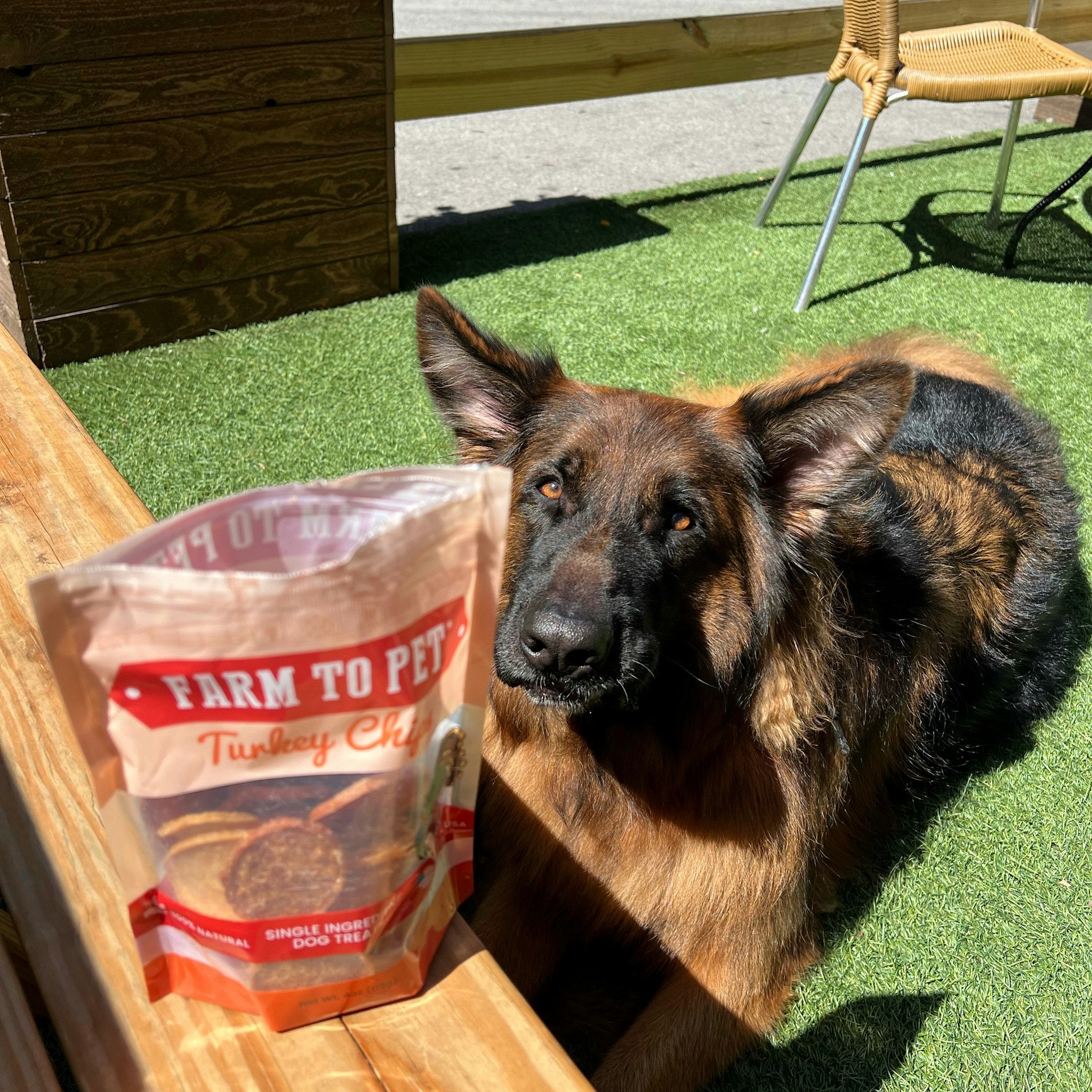 A large dog laying by a bag of Farm to Pet Turkey Chips on a bench outside.
