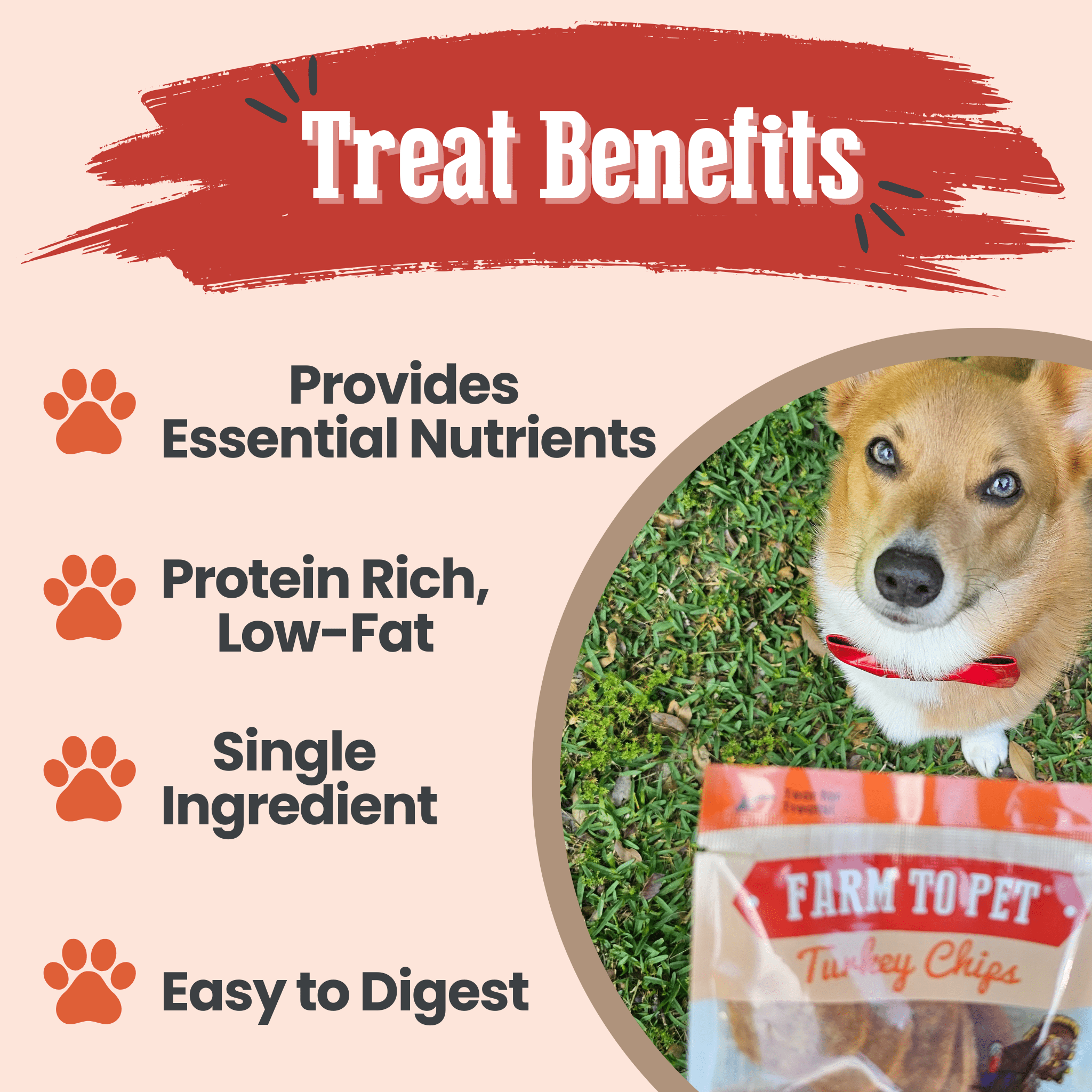 Farm to Pet dog treat packaging with text highlighting benefits on a beige background wit a dog sitting in the grass.