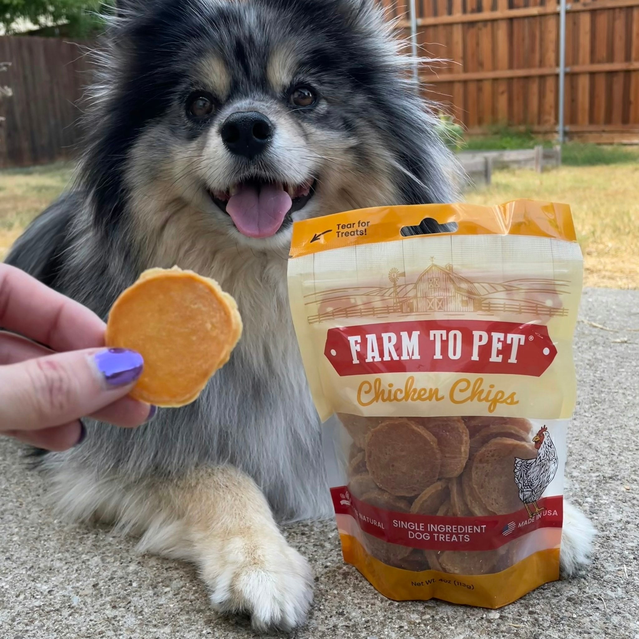 Farm to Pet's heart healthy Chicken Chips used as a snack for a dog.  A small dog being feed a chip by a persons hand.