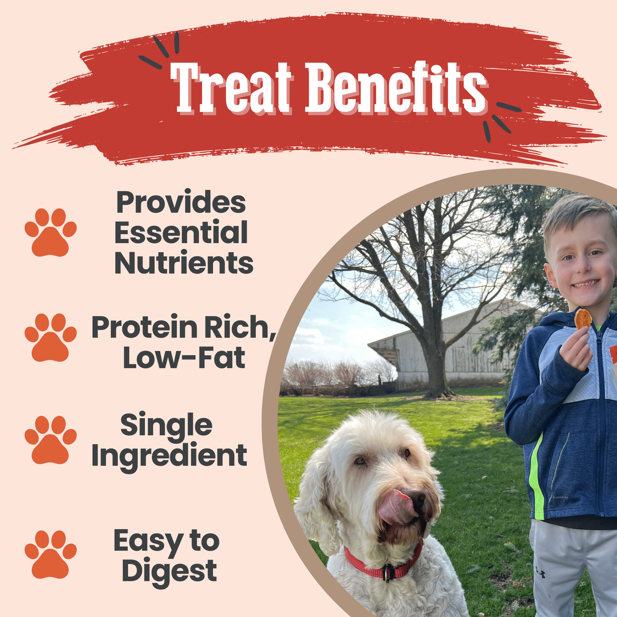 Farm to Pet Turkey Chips featuring  dog treat benefits with a picture of a boy and white dog with tongue out on a farm.