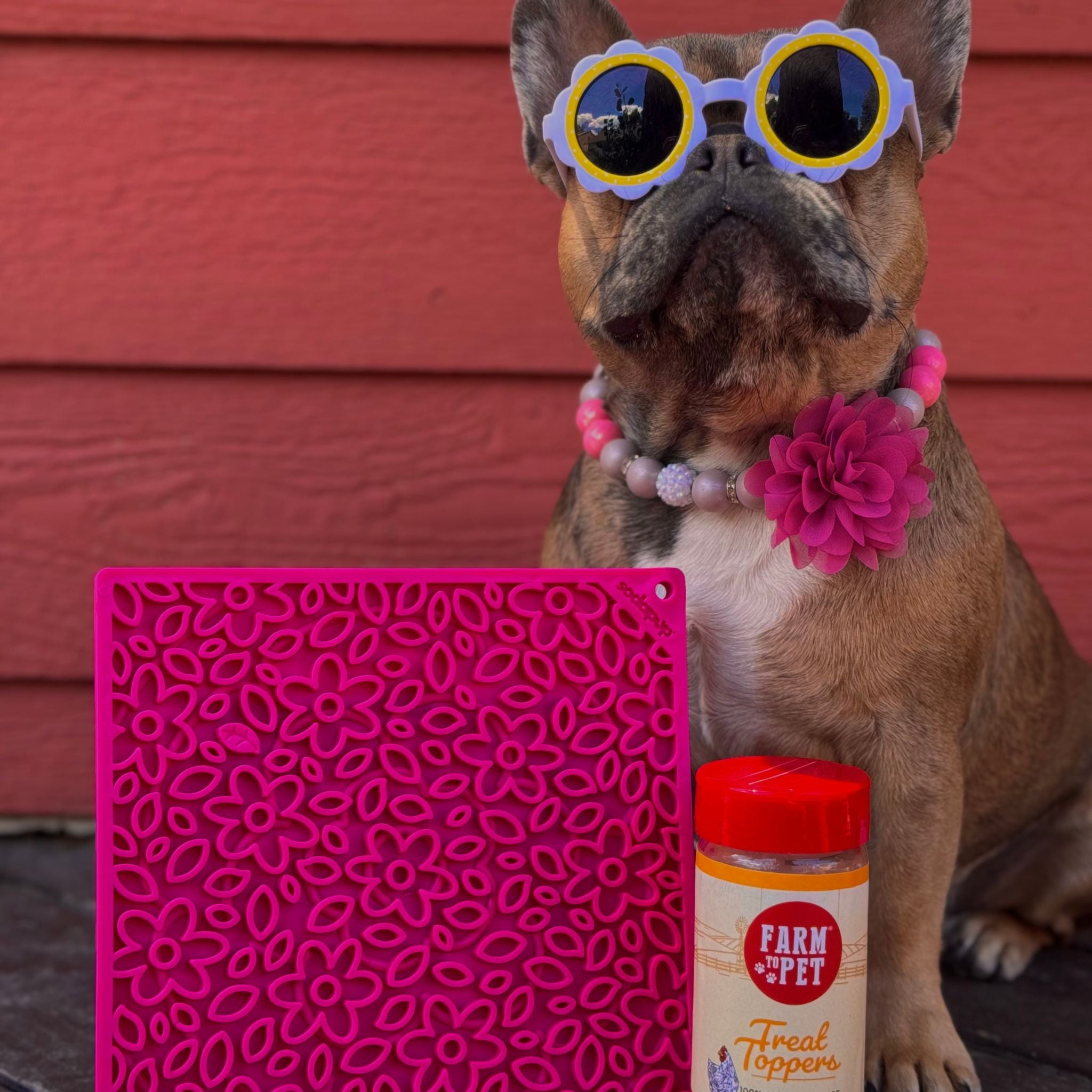 A Dog wearing colorful sunglasses with a Farm to Pet Pink Flower Power Lick Mat patterned mat and jar of chicken treat toppers in front of a red wall.
