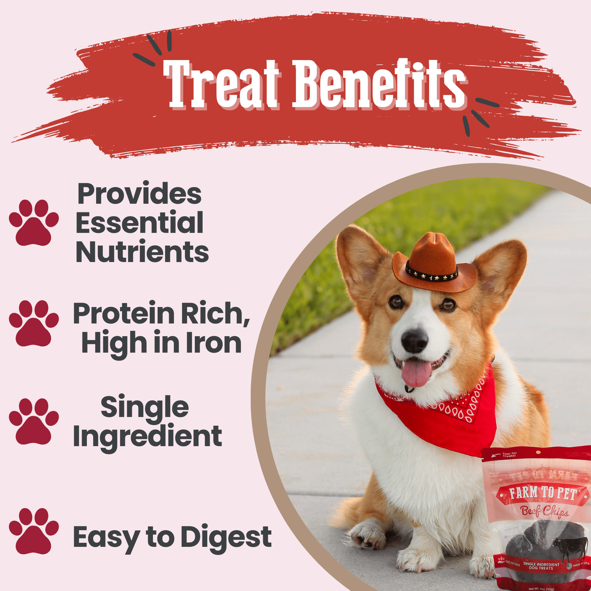 A Corgi wearing a red bandana and cowboy hat with a Farm to Pet Beef Chips treat package, surrounded by text about treat benefits.