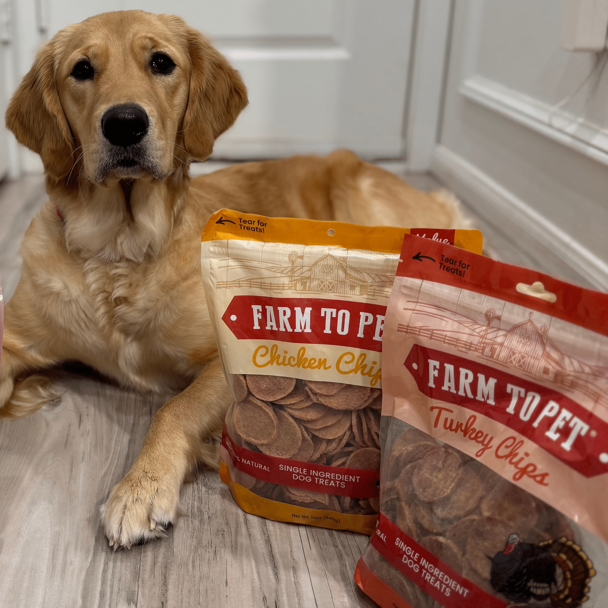 A dog laying next to packages of Farm to Pet chicken and turkey chips on a wooden floor.