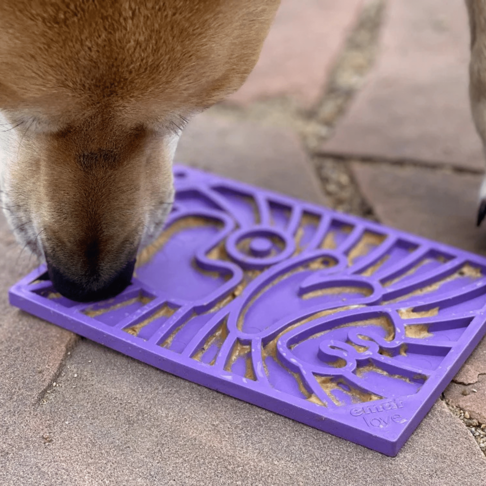 A Dog licking from a Farm to Pet  purple groovy lick mat on a stone surface.