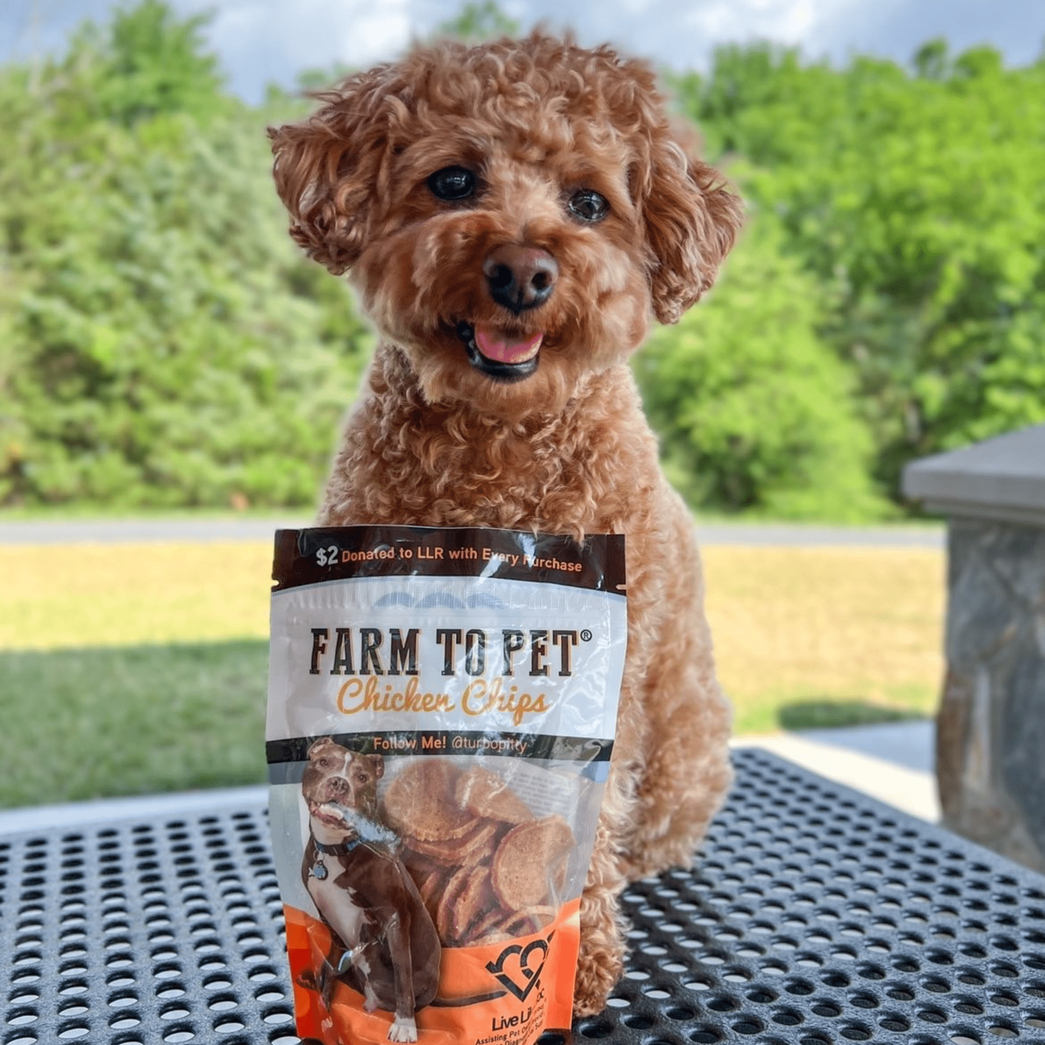 Naturals doggie chicken chips top