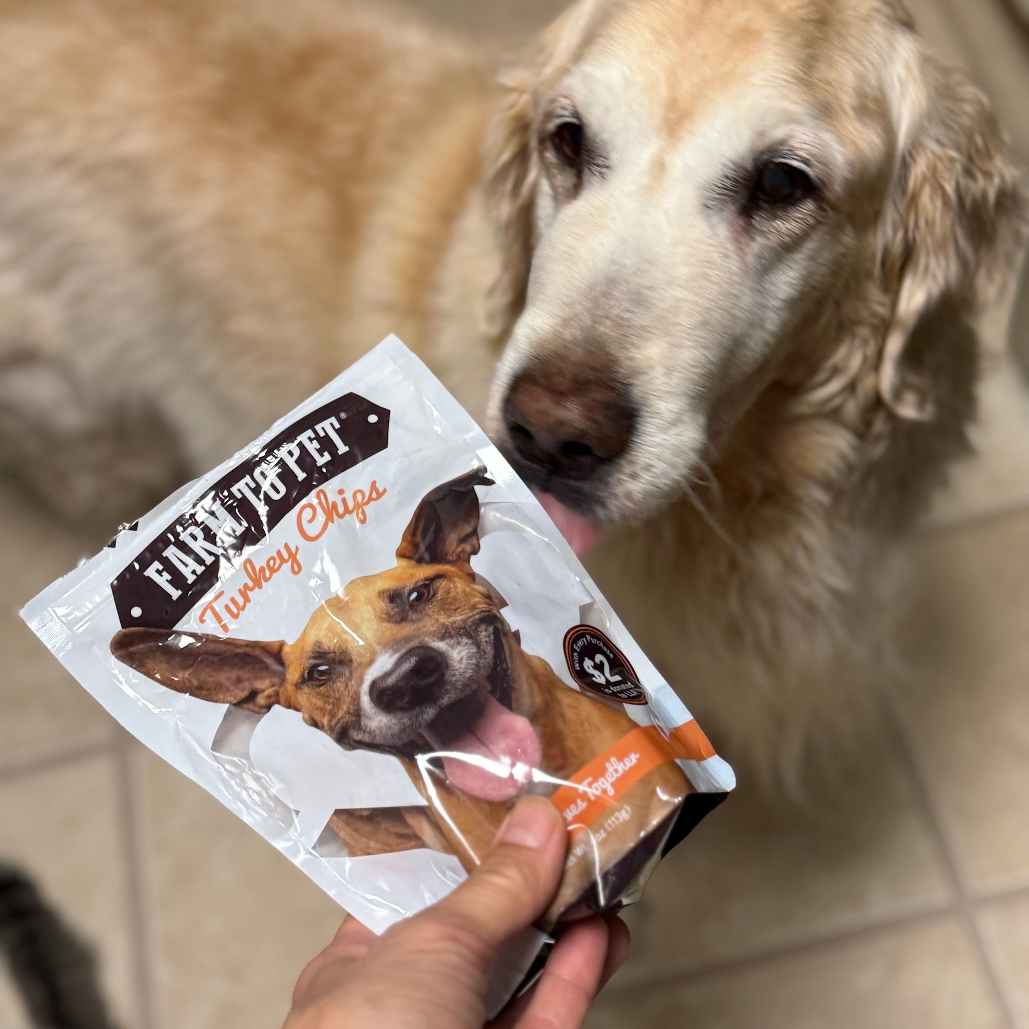 A dog looking at a package of Farm to Pet Live Like Roo turkey chips held by a person.