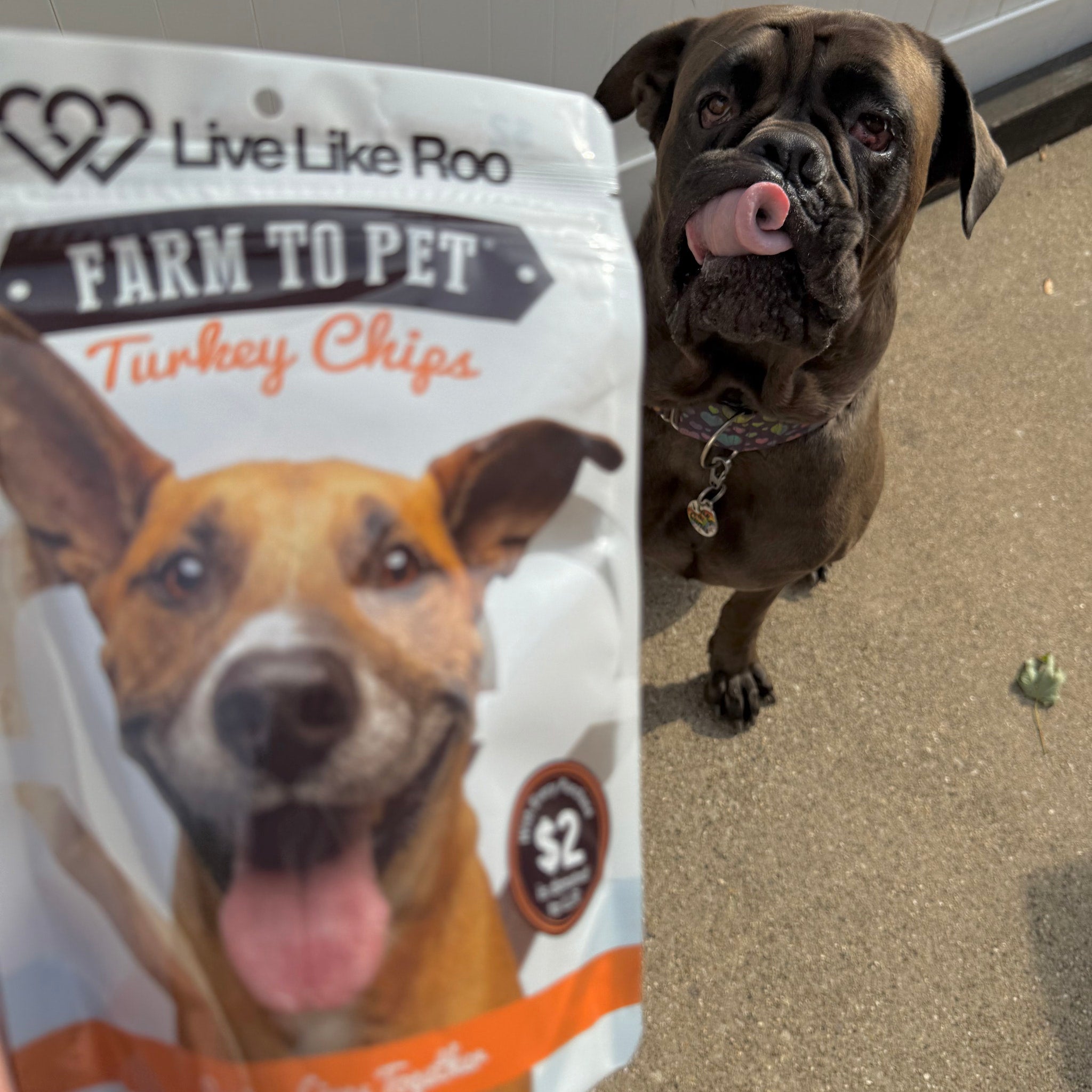 A dog sitting next to a bag of 'Farm to Pet' turkey chips Live Like Roo with it's tongue sticking out. There is also a dog on the packaging.