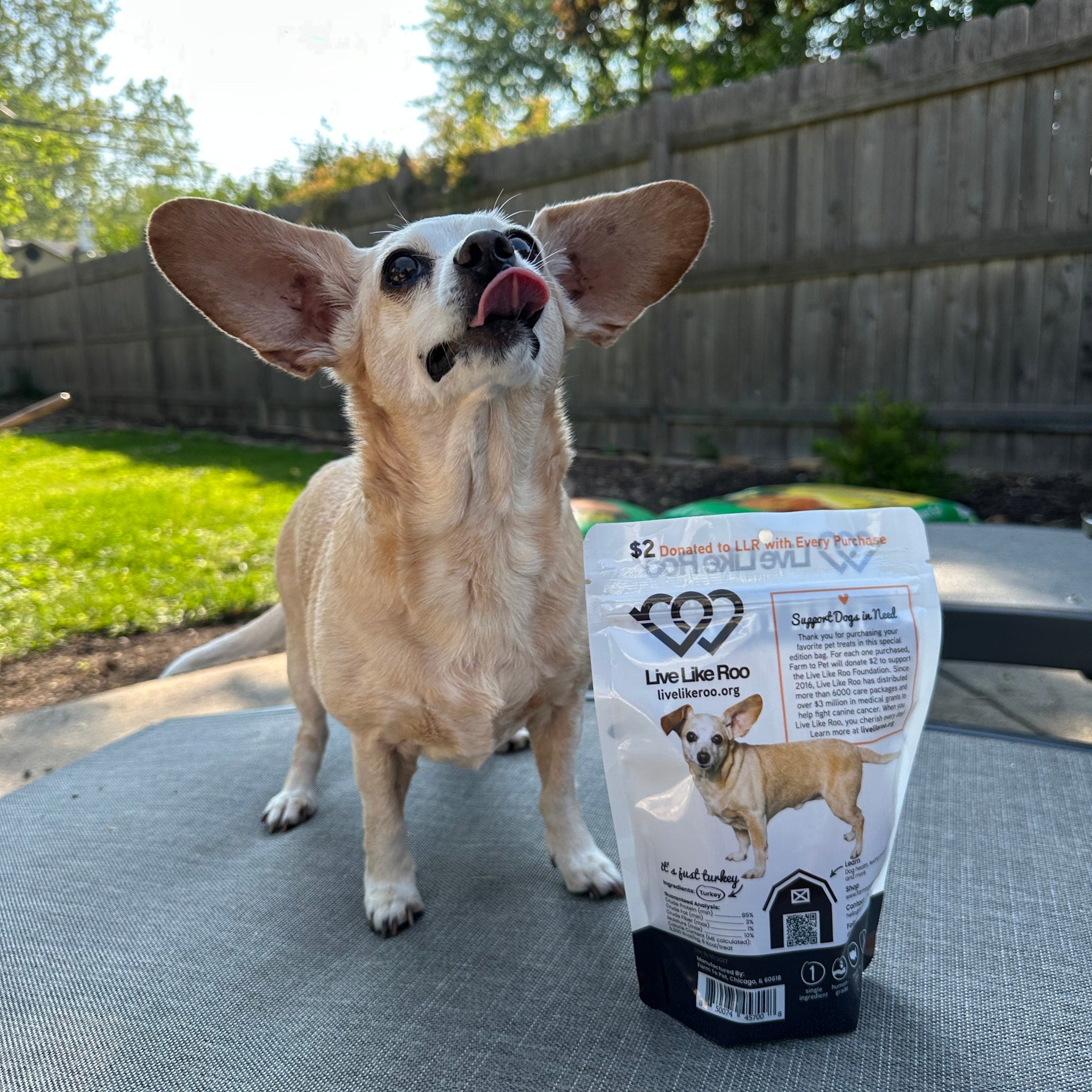 A small dog standing next to a product package of Live Like Roo Turkey Chips from Farm to Pet in an outdoor setting.