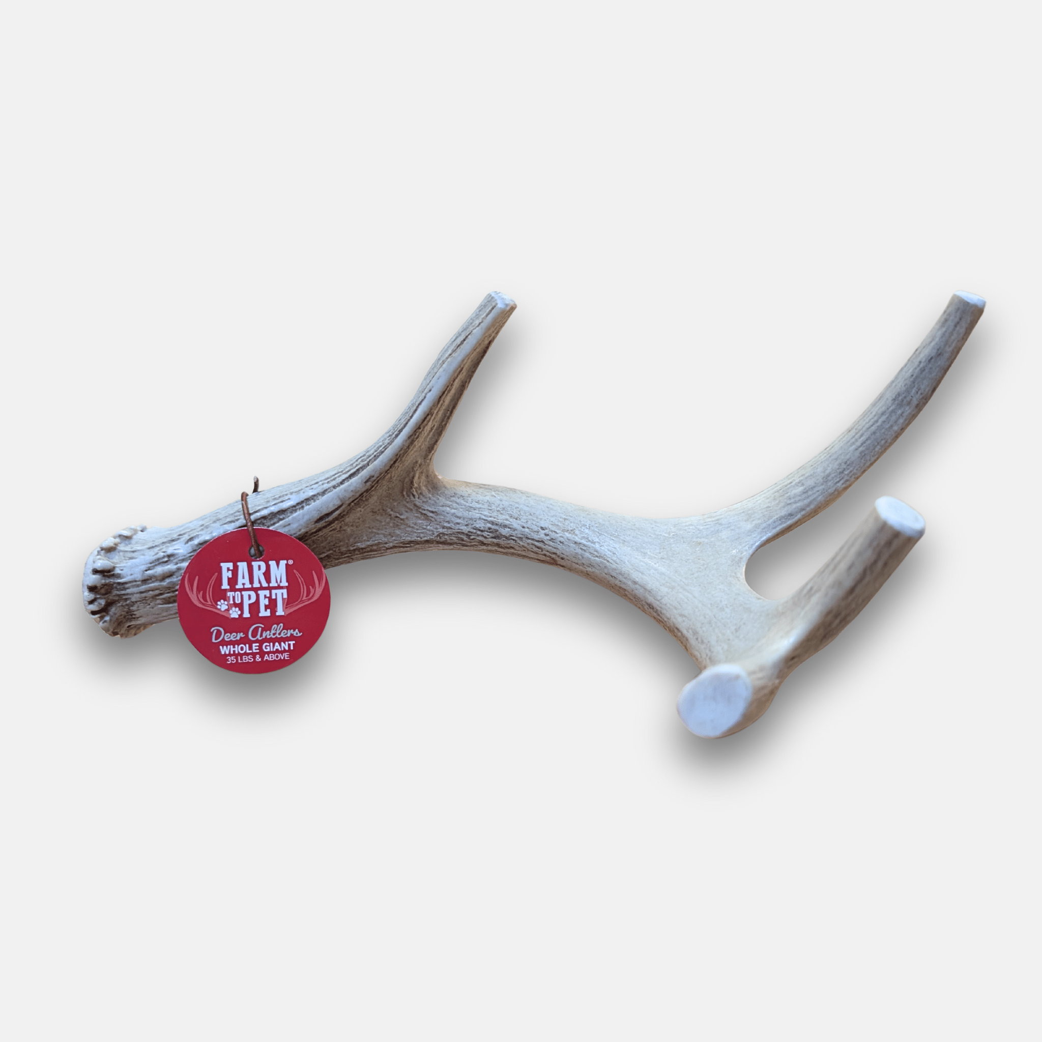 Giant deer antler with a 'Farm to Pet ' tag on a white background.