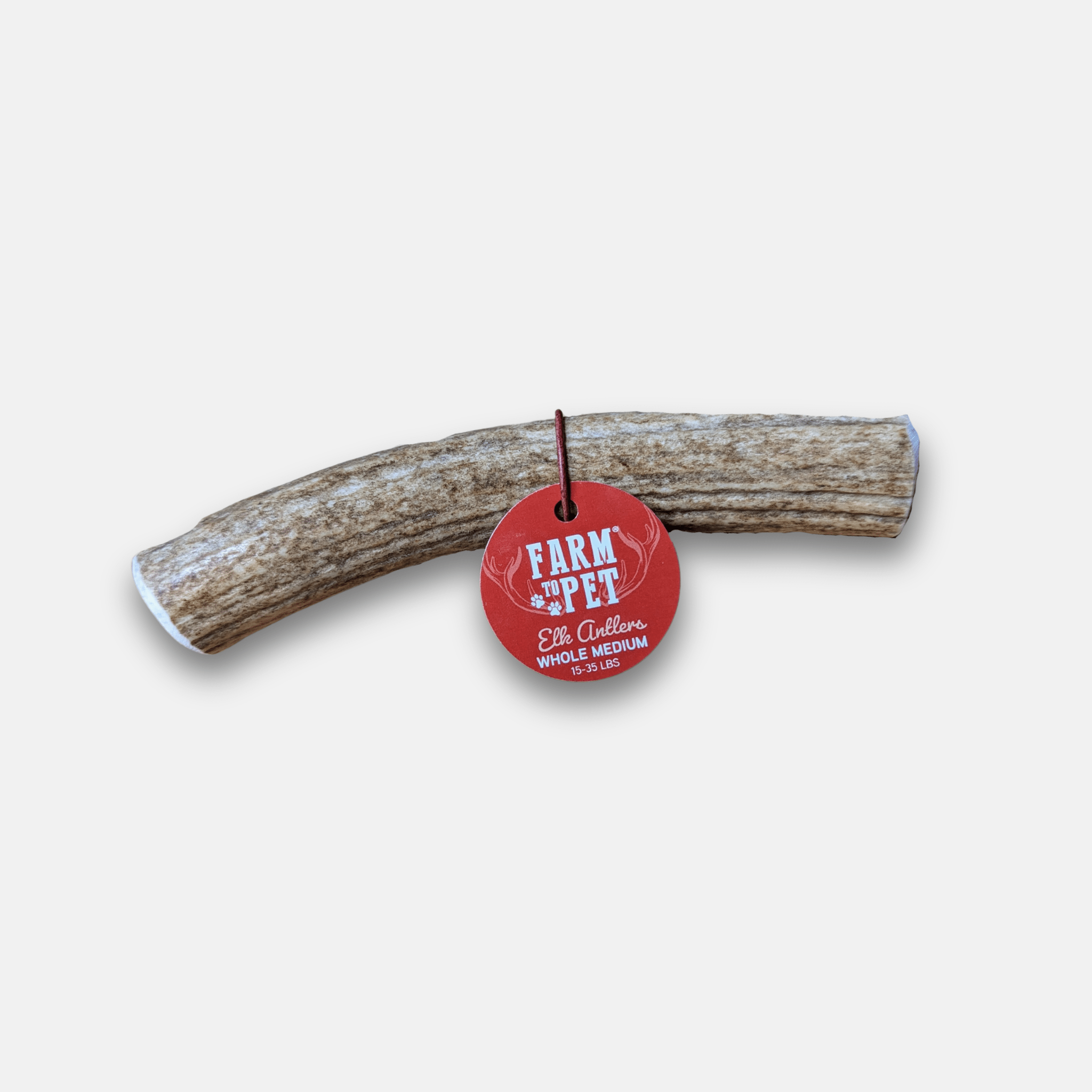 Whole Medium Elk Antler with a 'Farm to Pet' red tag on a white background