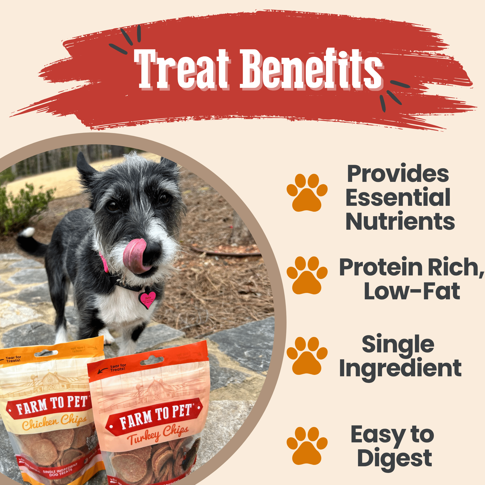A dog with treats and Farm to Pet branding, highlighting treat benefits on a beige background.