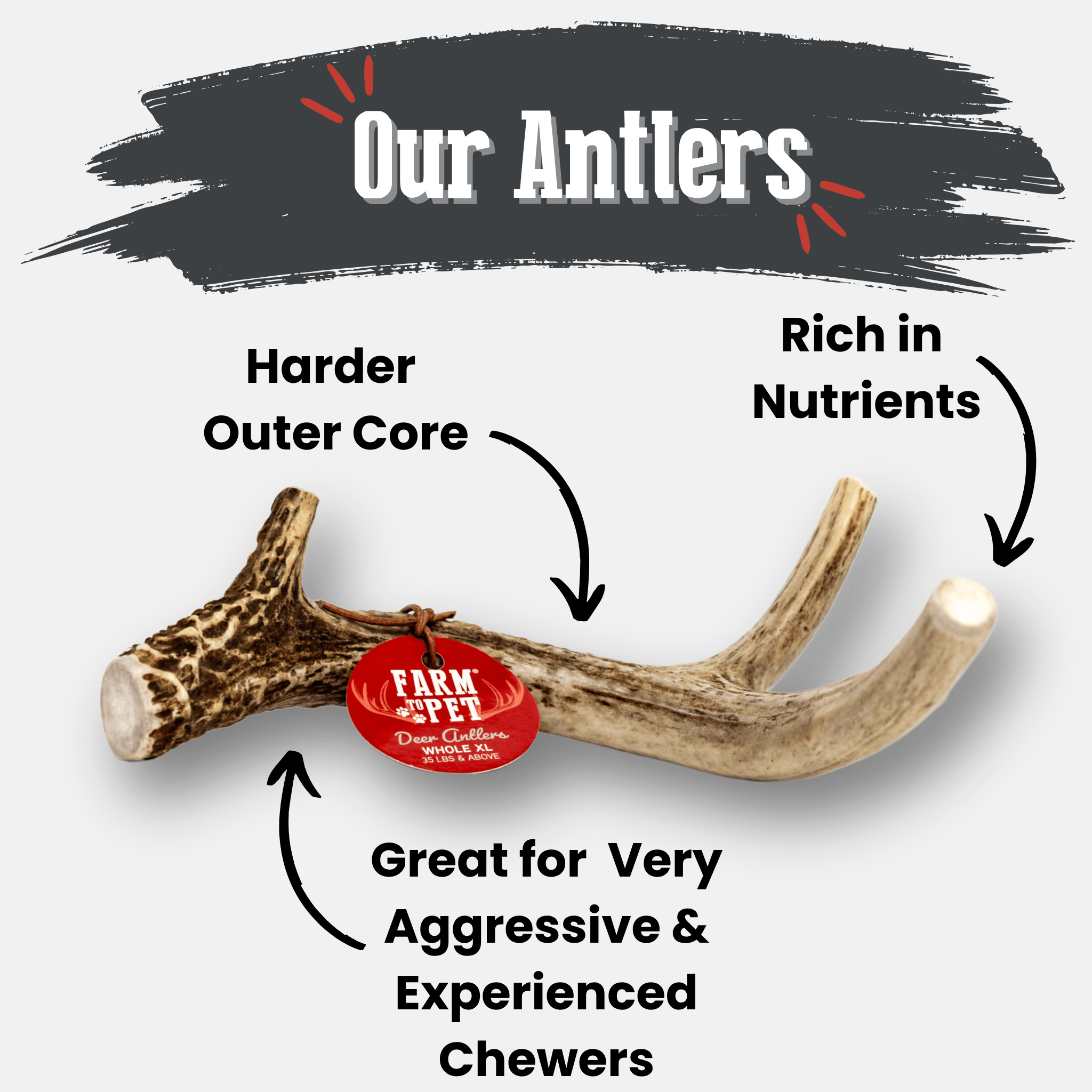 Farm to Pet Deer Antler with text highlighting features on a white background.