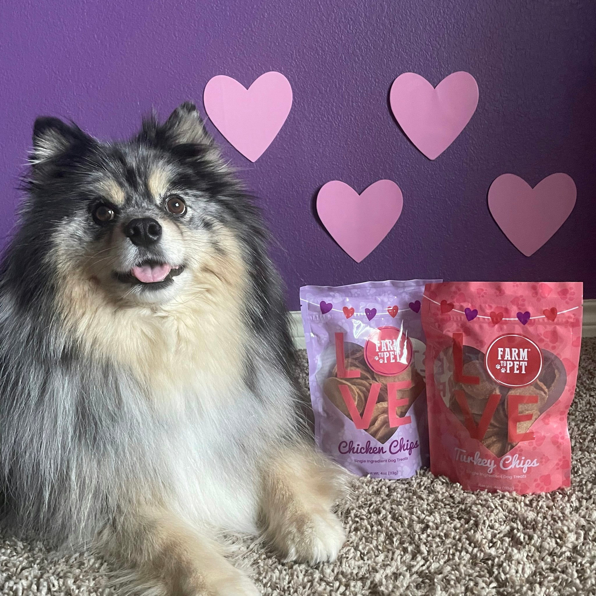 A dog laying on the carpet next to two bags of Farm to Pet Puppy Love Bags of treats. The background is a purple wall with 4 pink hearts. 