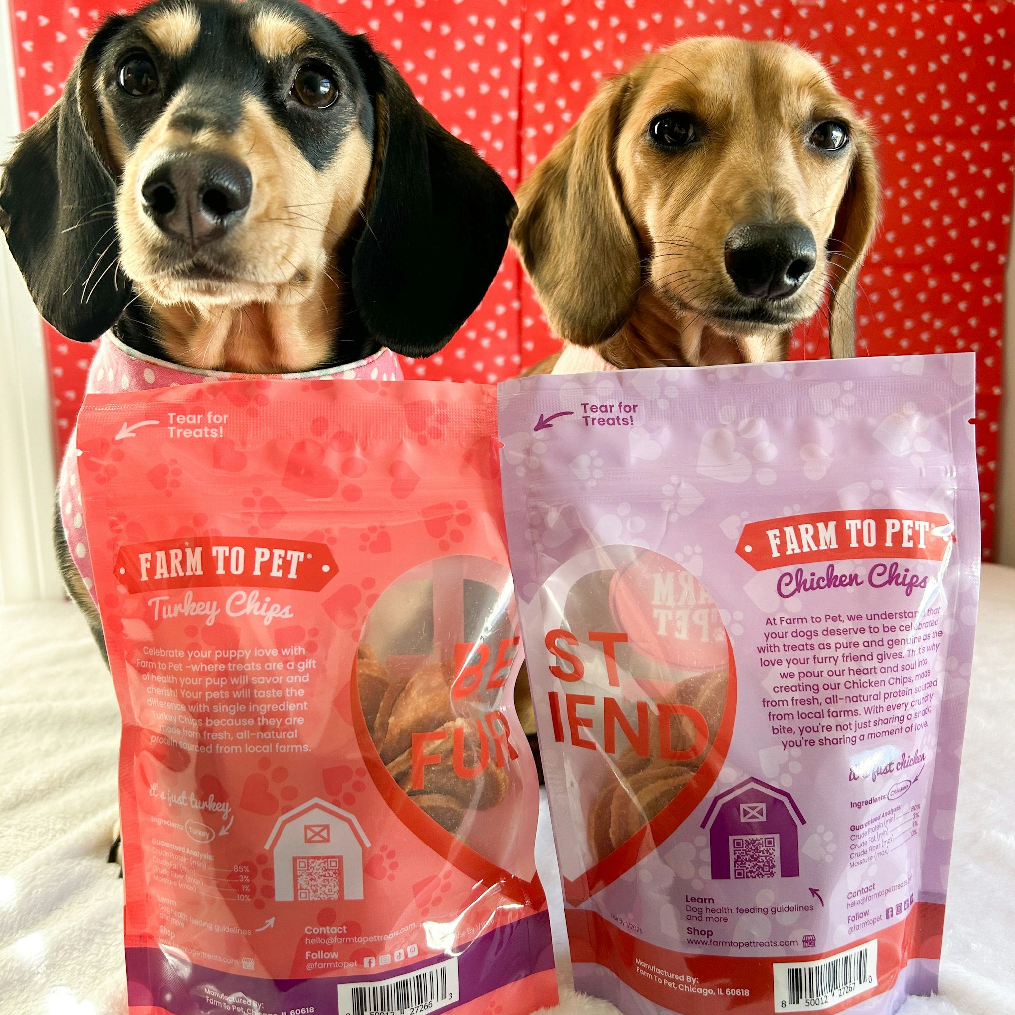 Two dogs sitting with a backdrop of red.  They are next two bags of Farm to Pet Puppy Love treats showing the back of bags with Best Furiend printed in a heart connecting both bags.