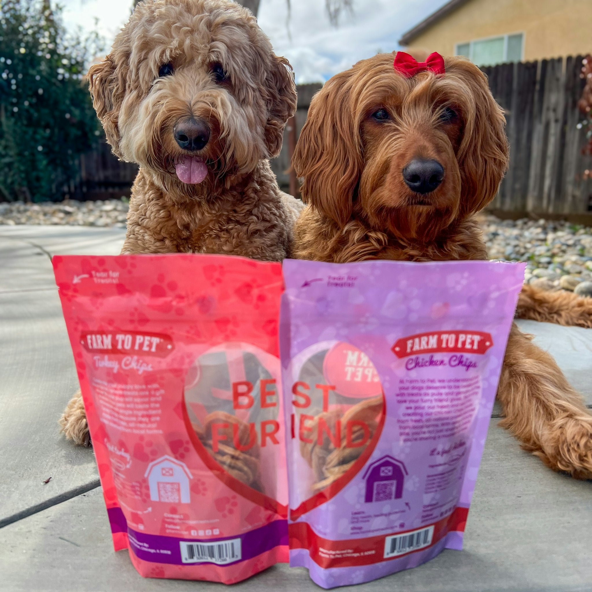 Two beautiful brown dogs laying on cement with two bags of Farm to Pet Puppy Love showing the back of the bag which says Best Furiend.