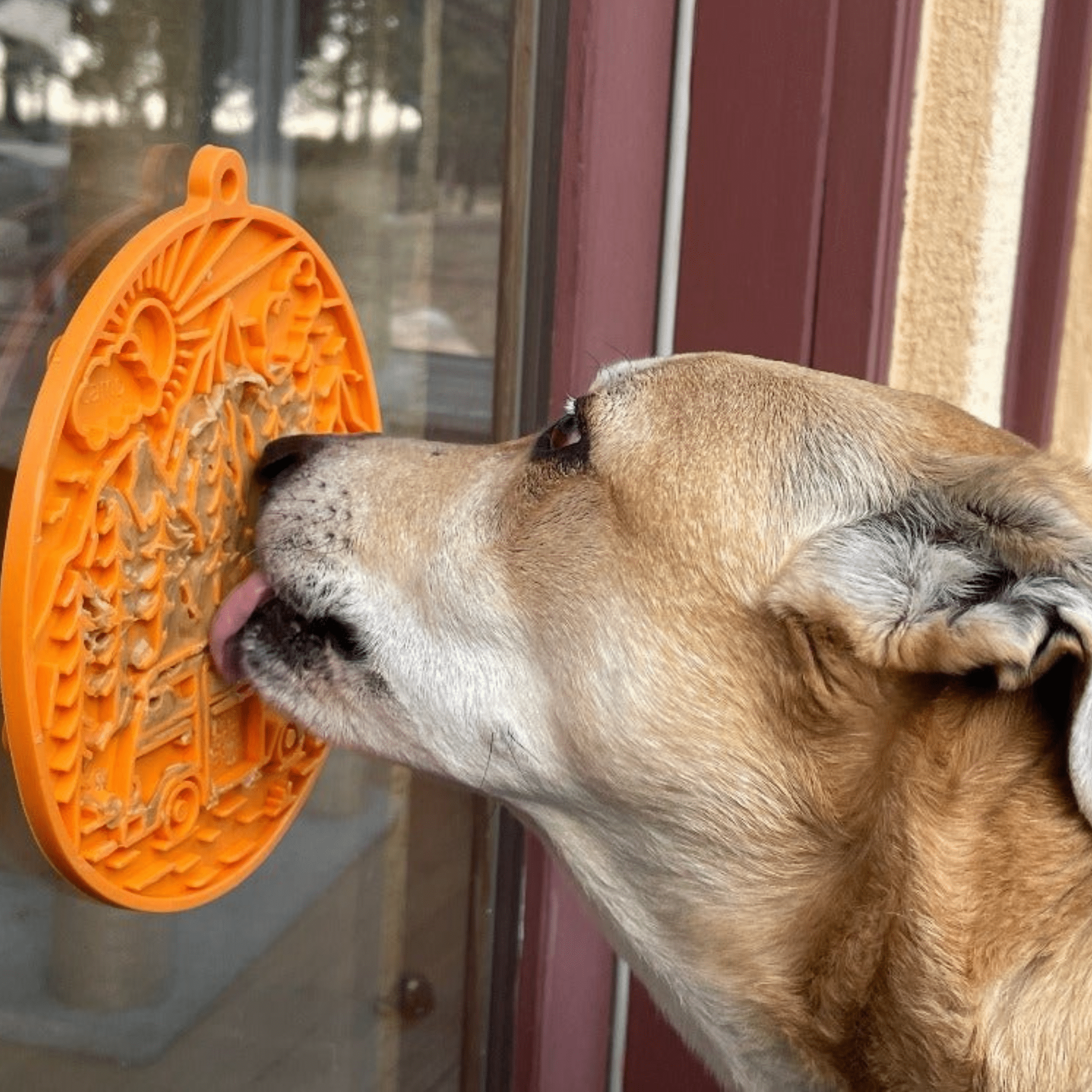 A dog licking a Farm to Pet orange lick mat with peanut butter on it suctioned to a front of a glass door outside.