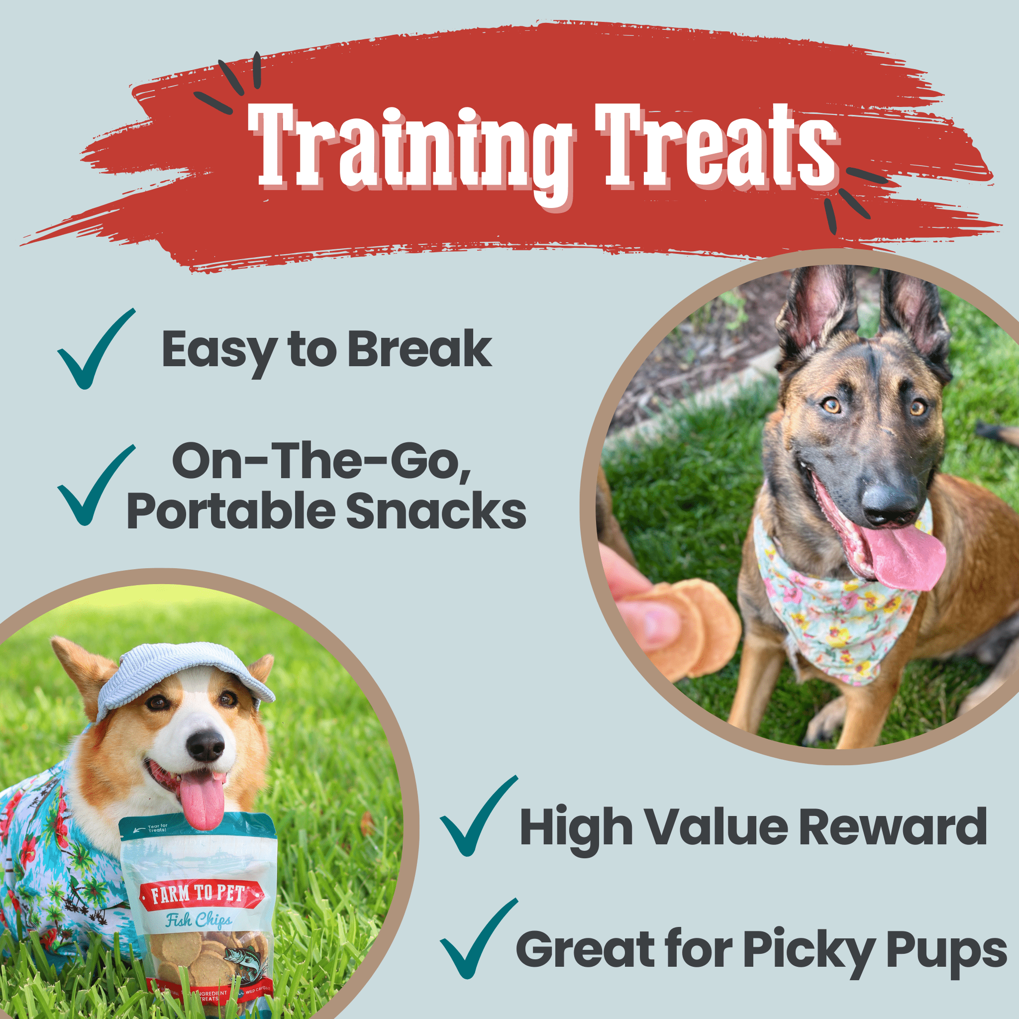 Farm to Pet dog training treats with images of dogs and text highlighting features on a light blue background.